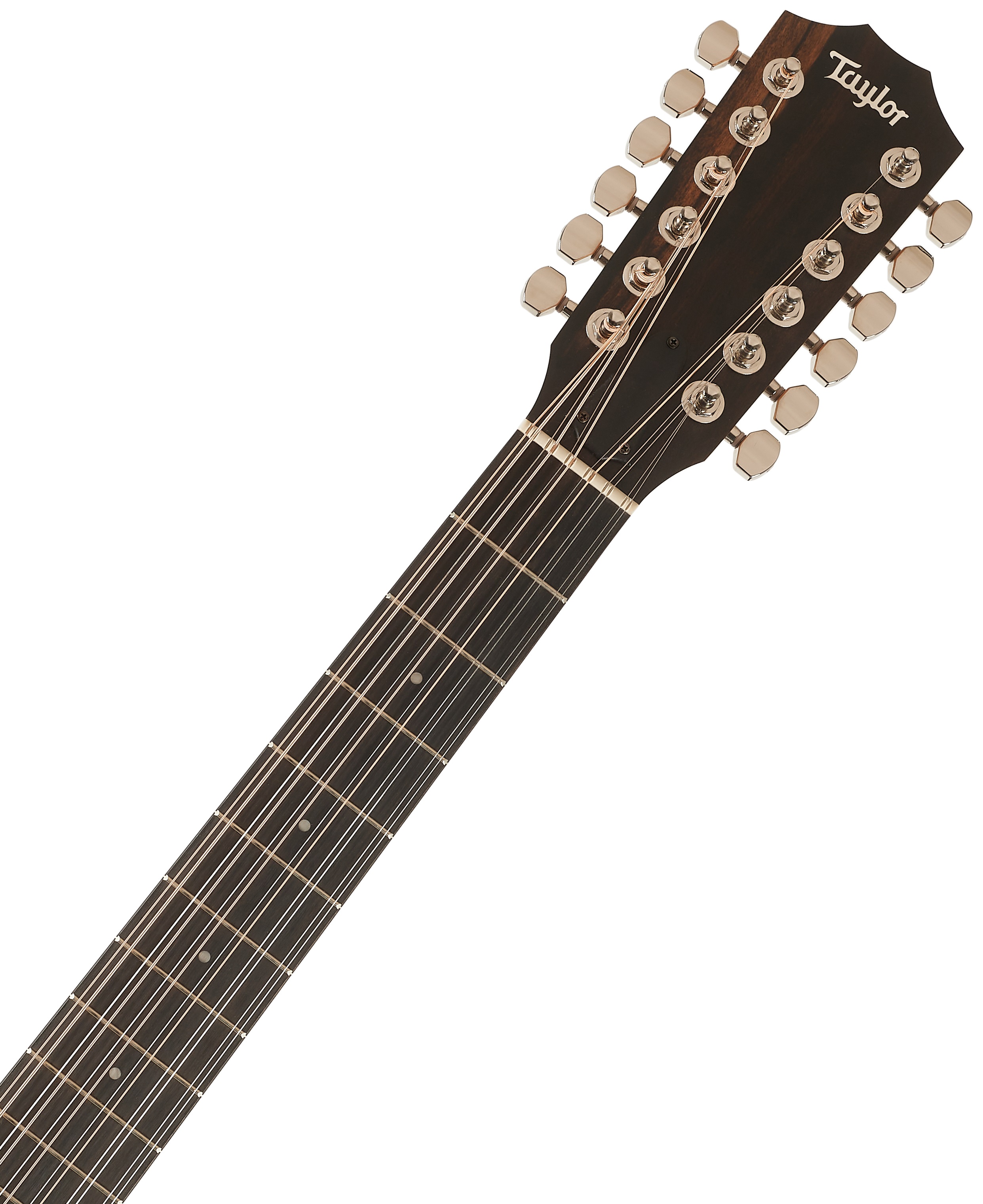 Taylor 254ce Plus (obrázek 5)