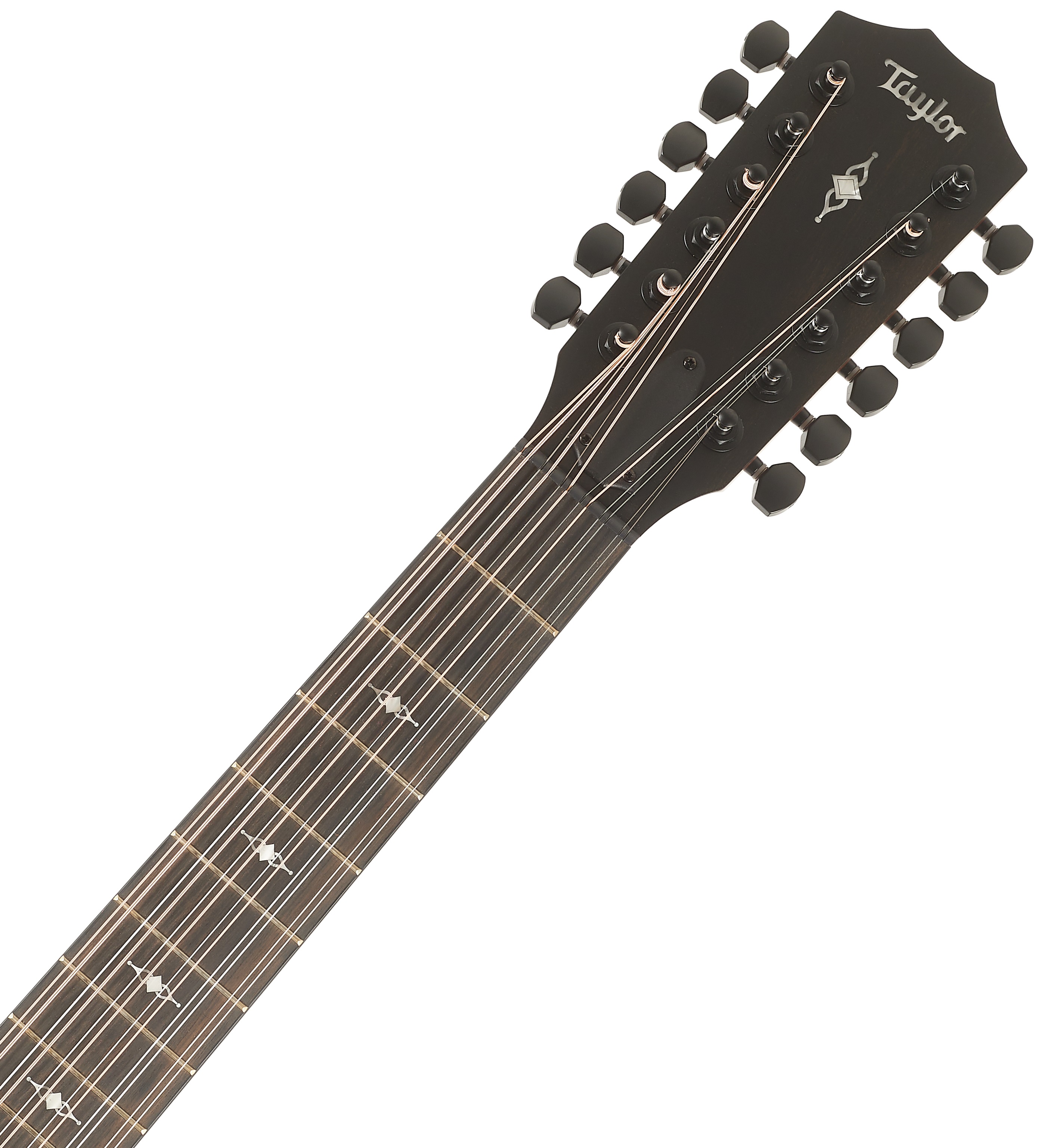 Taylor 362ce (obrázek 5)