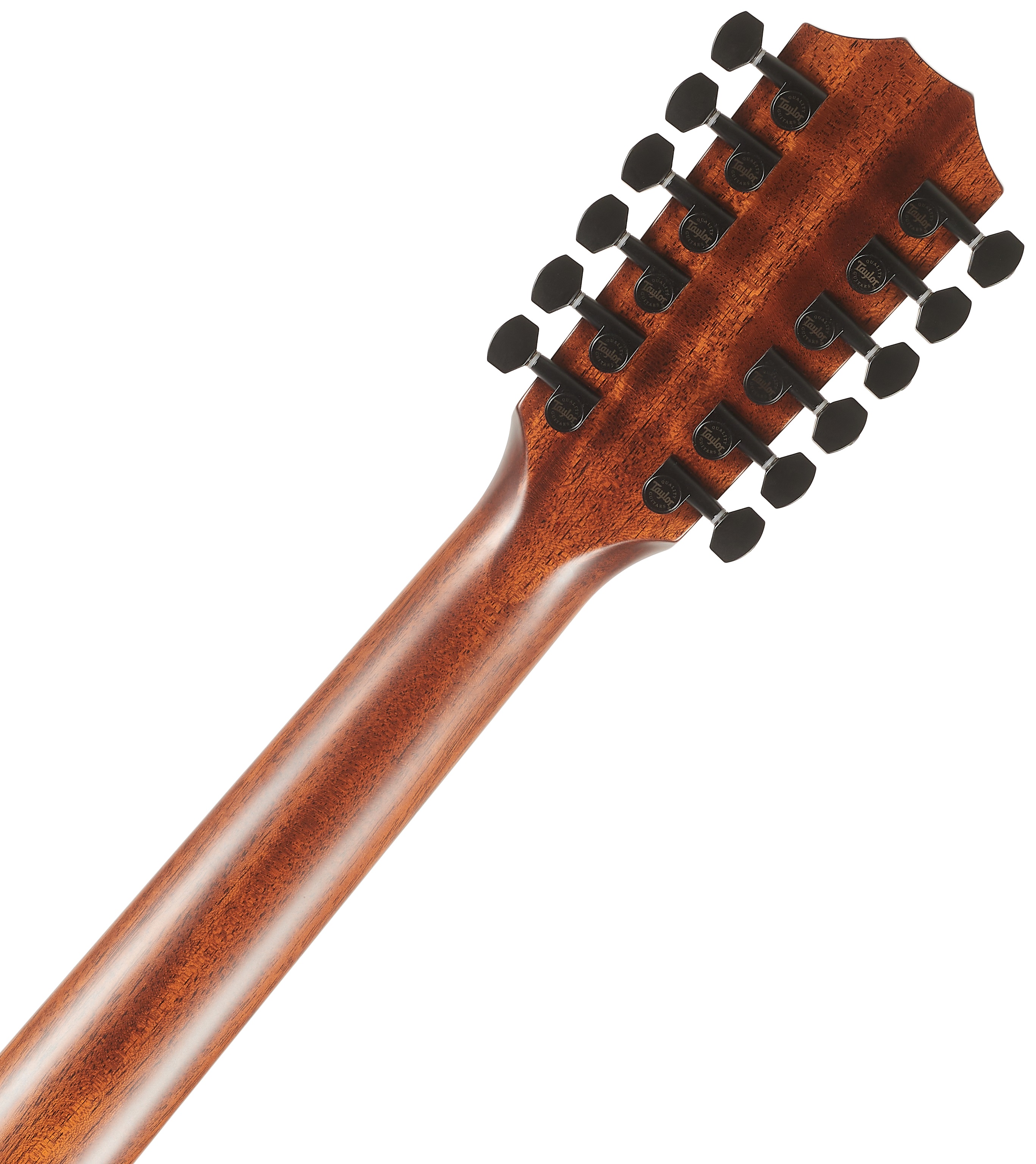 Taylor 362ce (obrázek 6)