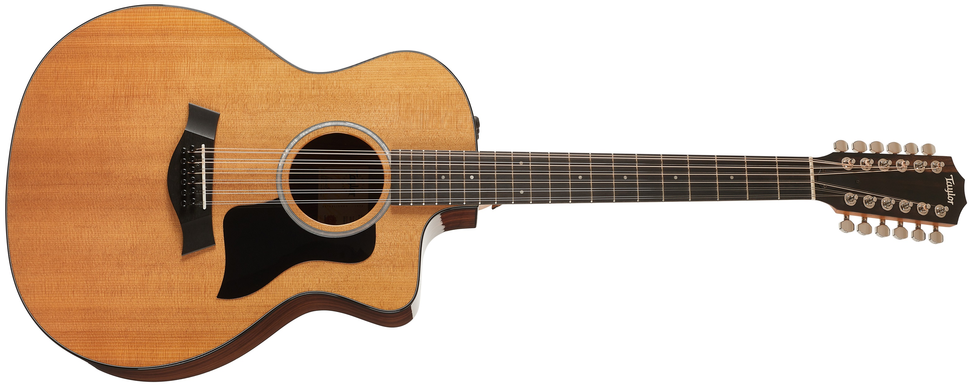 Taylor 254ce Plus (použité)