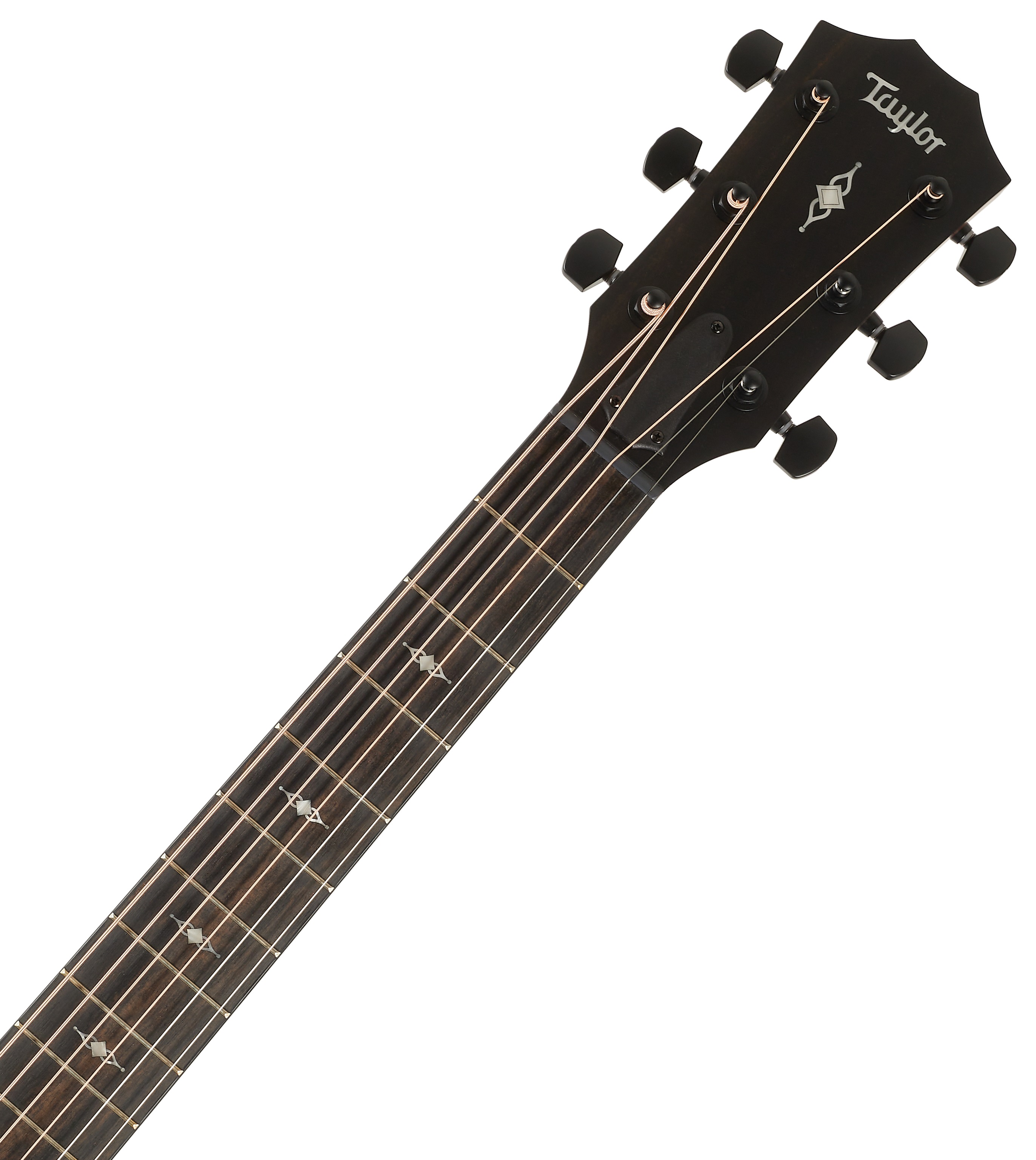 Taylor 324ce (obrázek 5)