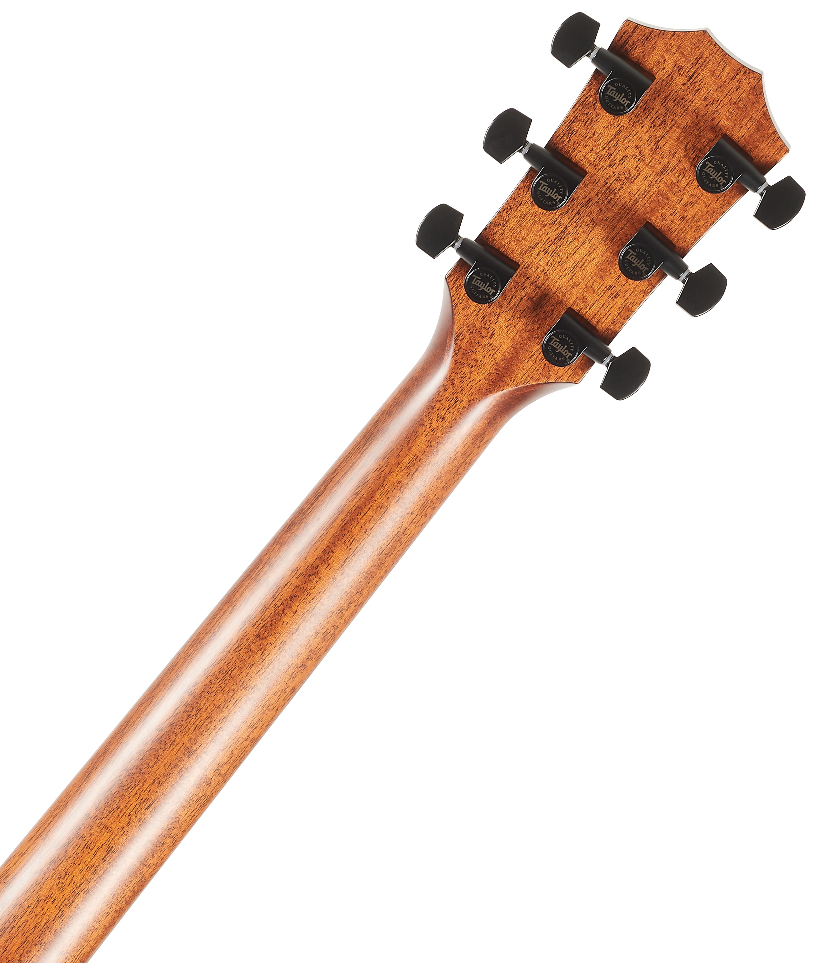 Taylor 324ce (obrázek 6)