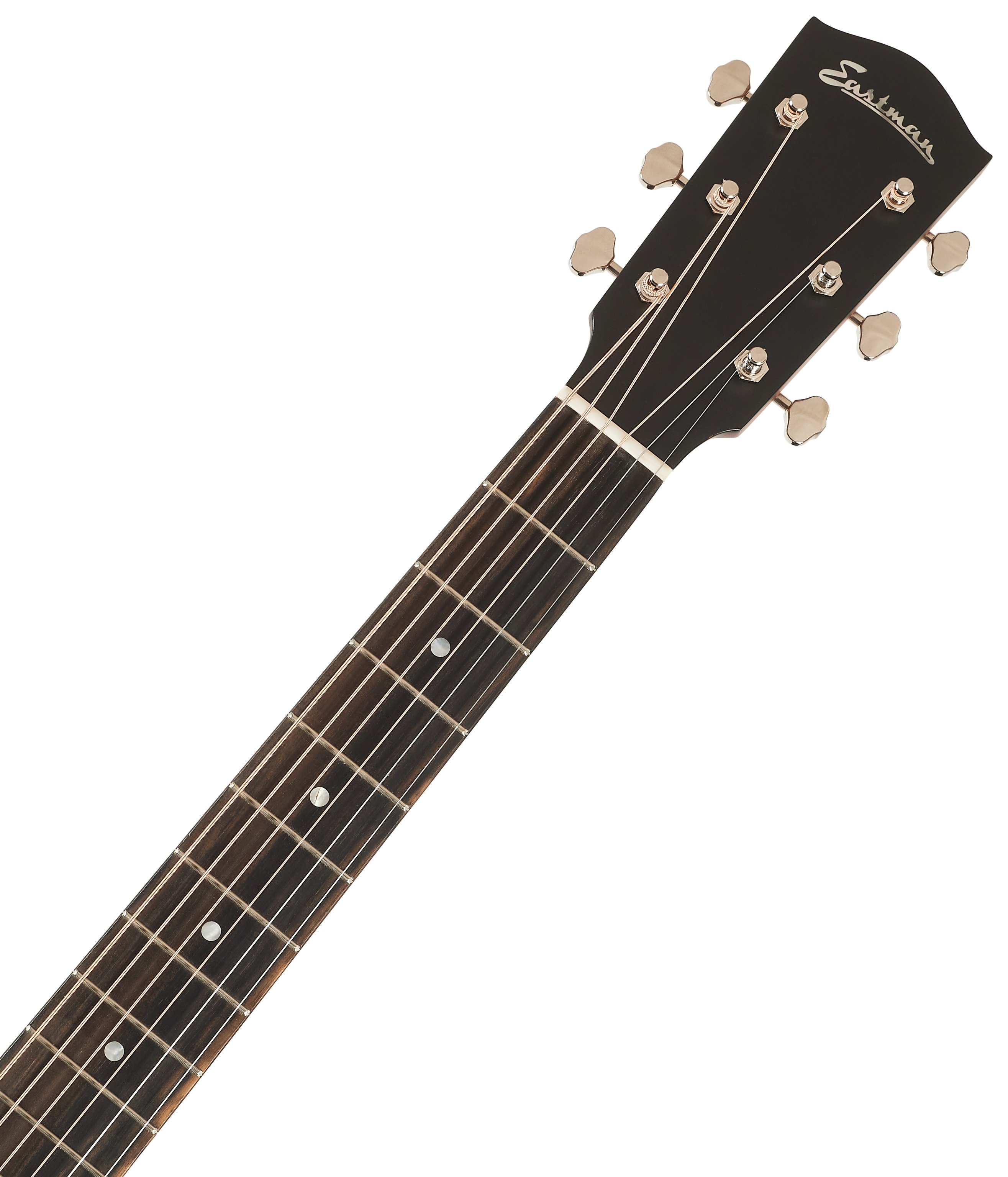Eastman E1SS-DLX-SB (obrázek 4)