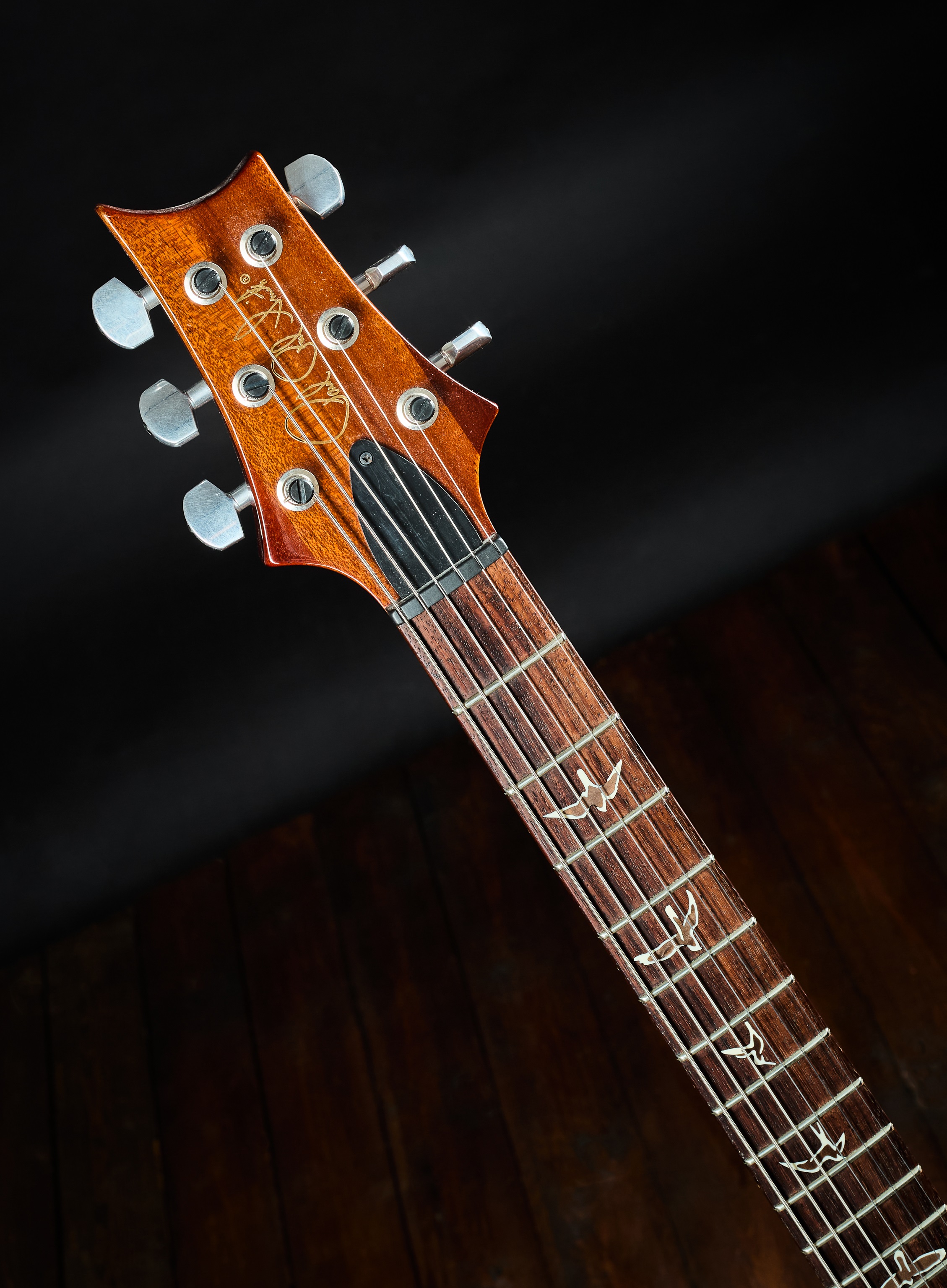 PRS 2012 Stripped SC58 Modded (obrázek 6)