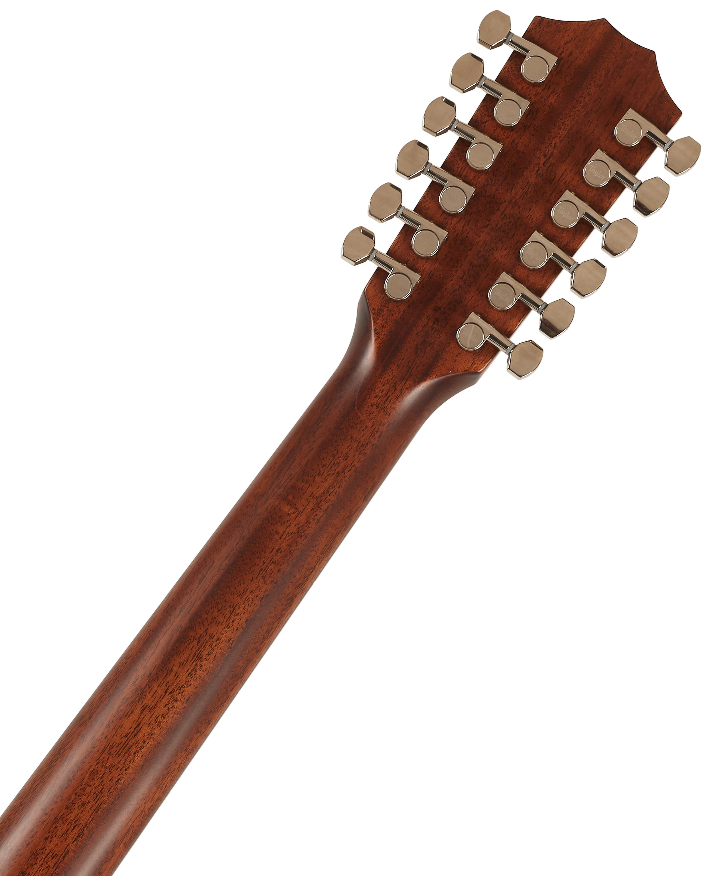 Taylor 454ce-R Tobacco Sunburst (obrázek 6)