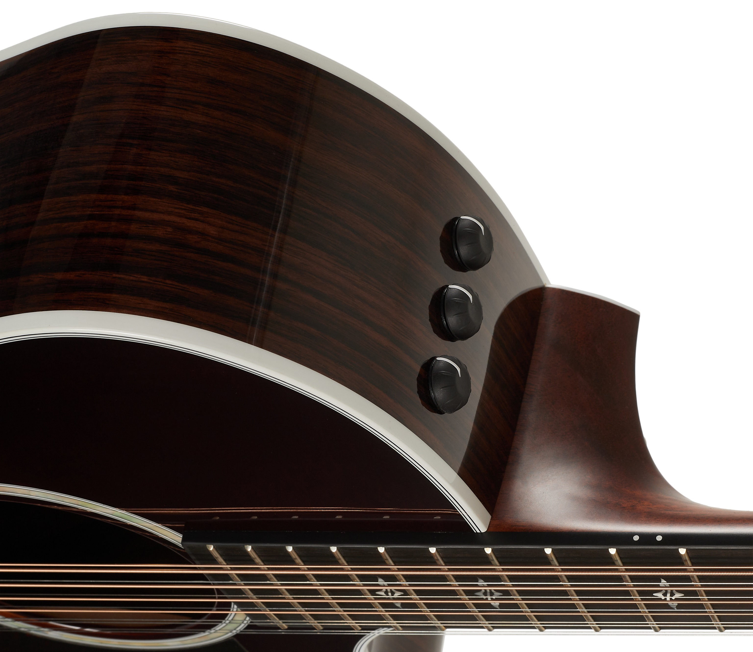 Taylor 454ce-R Tobacco Sunburst (obrázek 4)