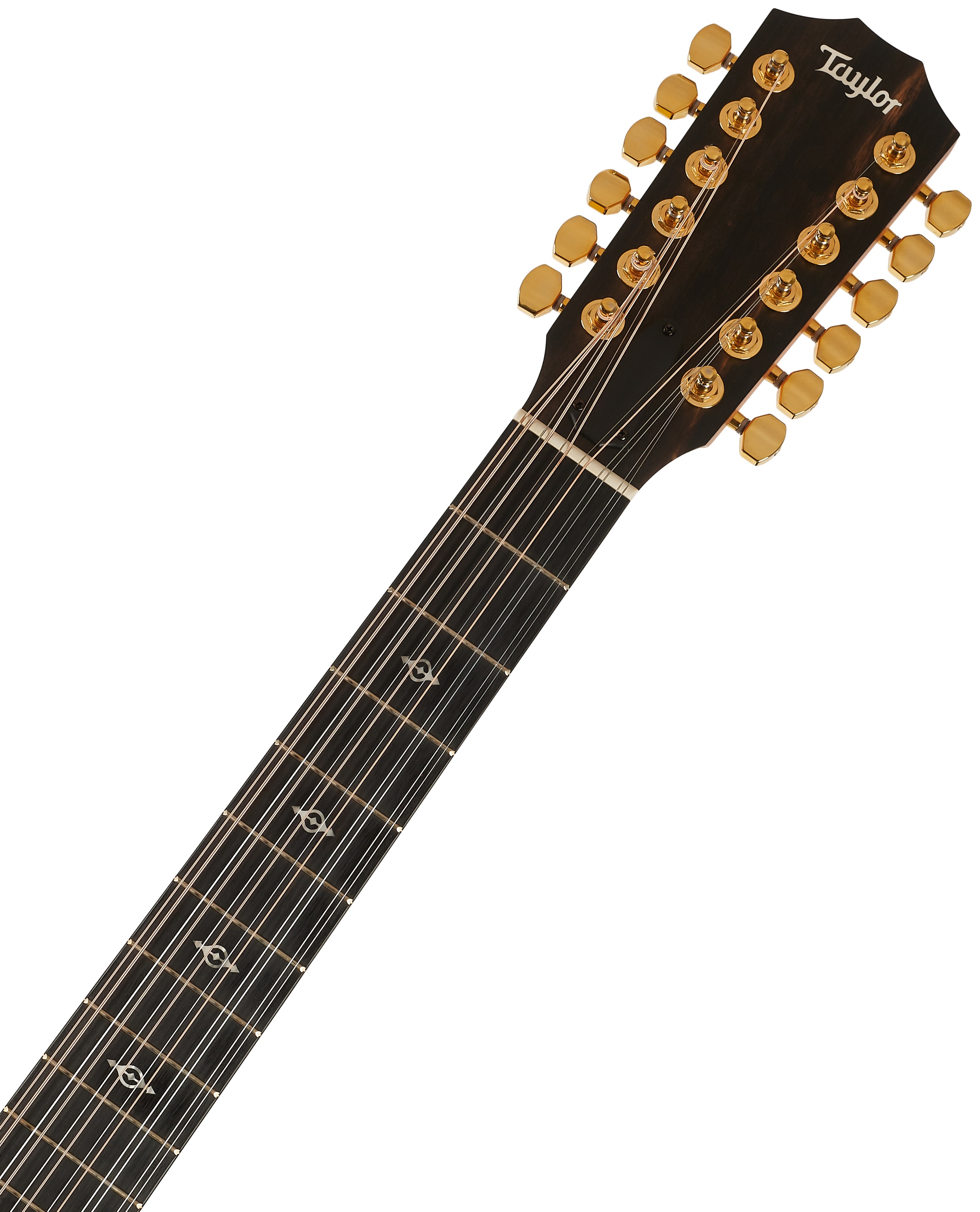 Taylor 264ce-K DLX (obrázek 5)