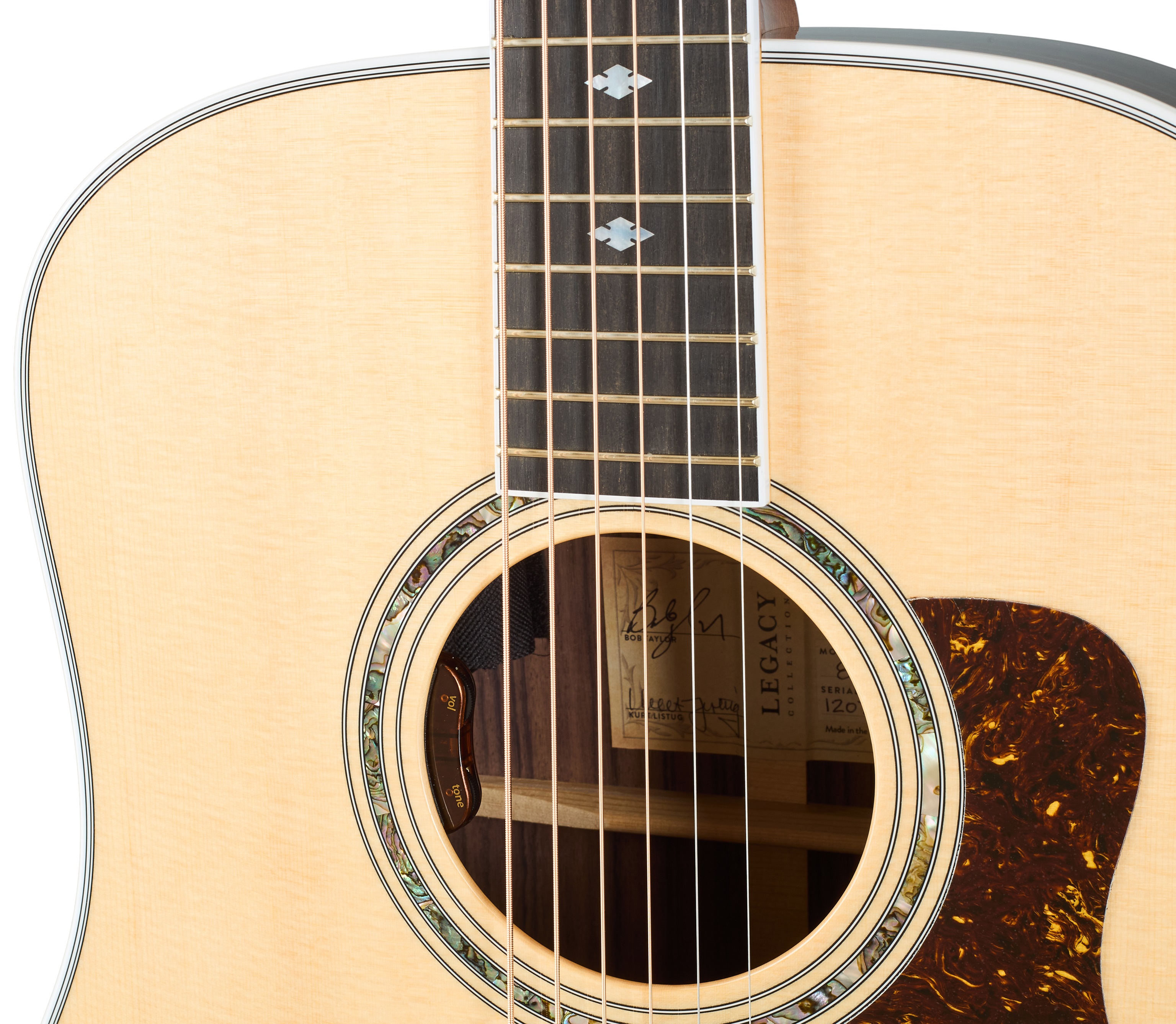 Taylor Legacy 810e (obrázek 4)