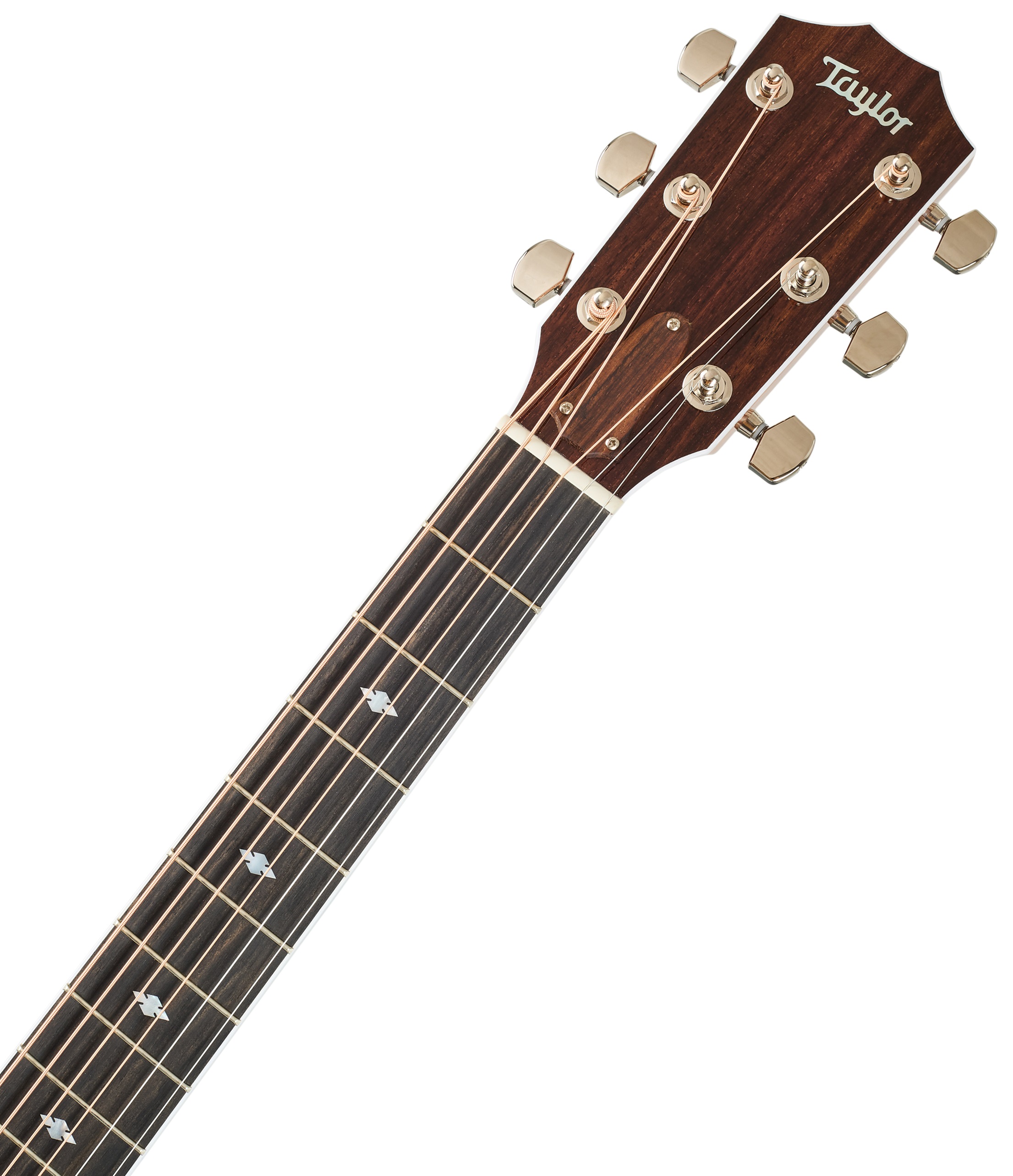 Taylor Legacy 810e (obrázek 5)