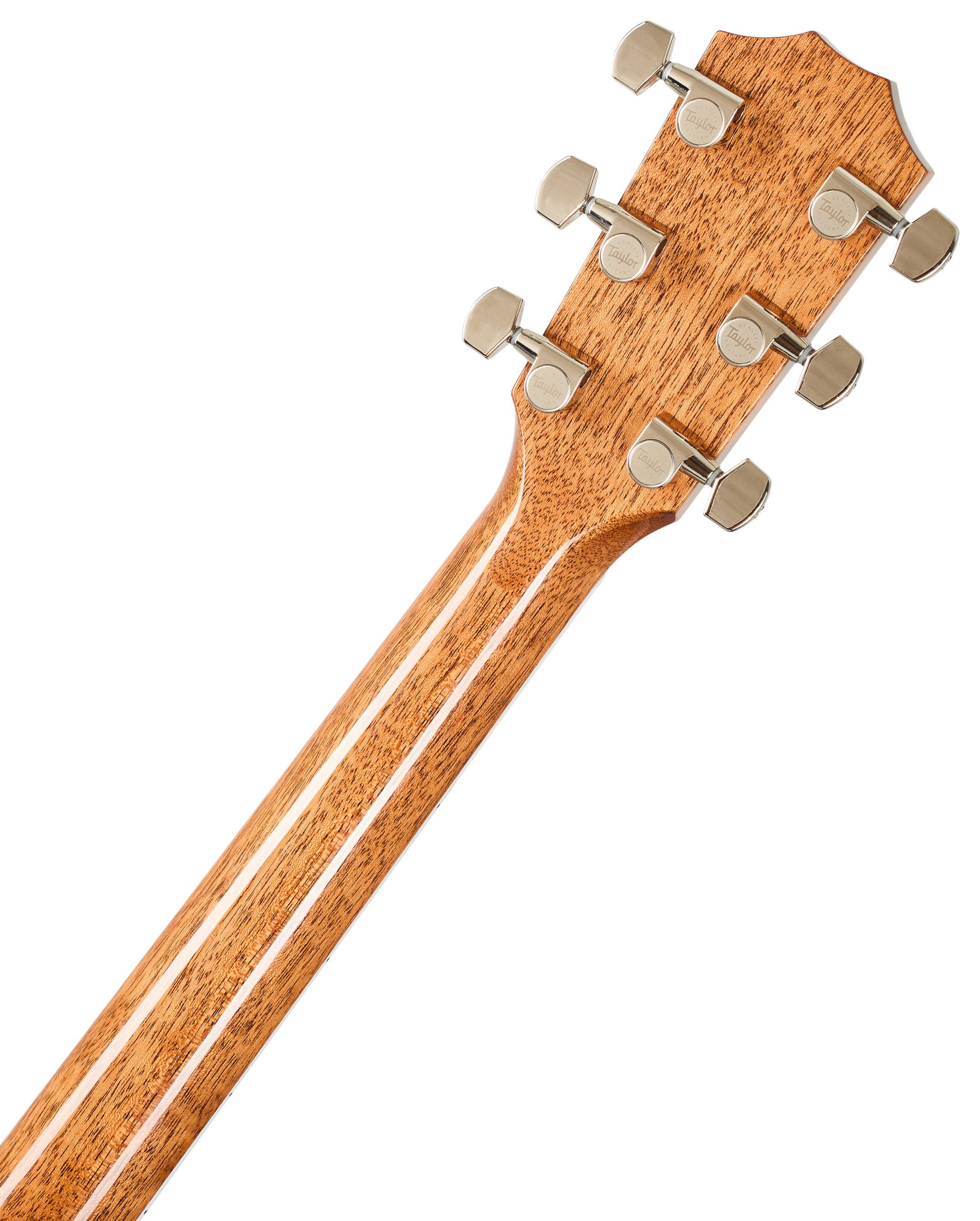 Taylor Legacy 810e (obrázek 6)