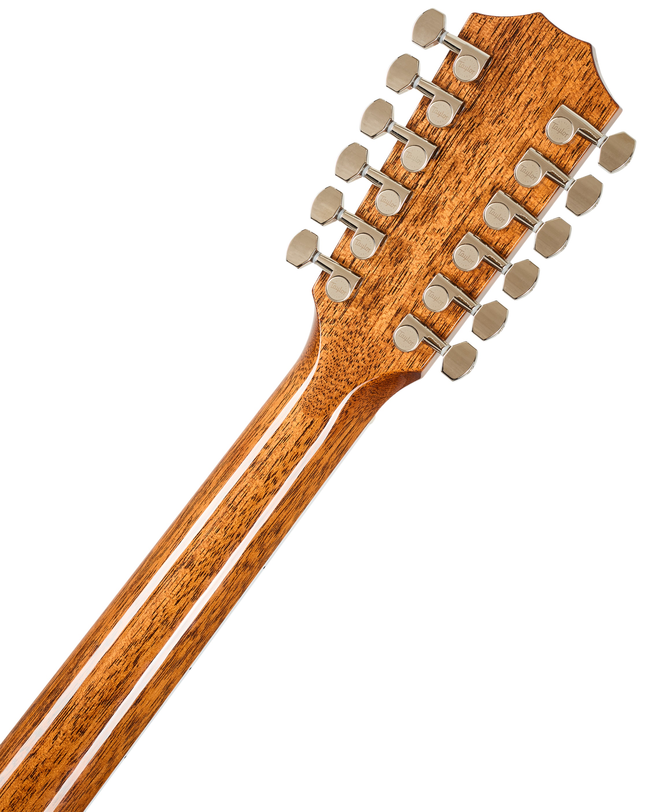 Taylor Legacy 855e (obrázek 6)