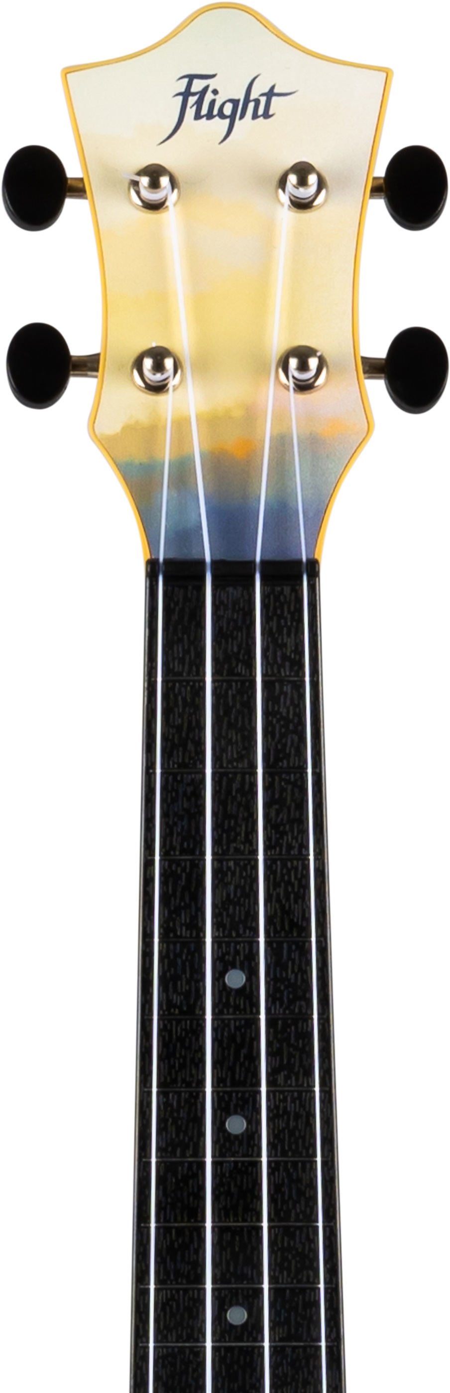 Flight TUS-40 DANDELIONS (obrázek 3)