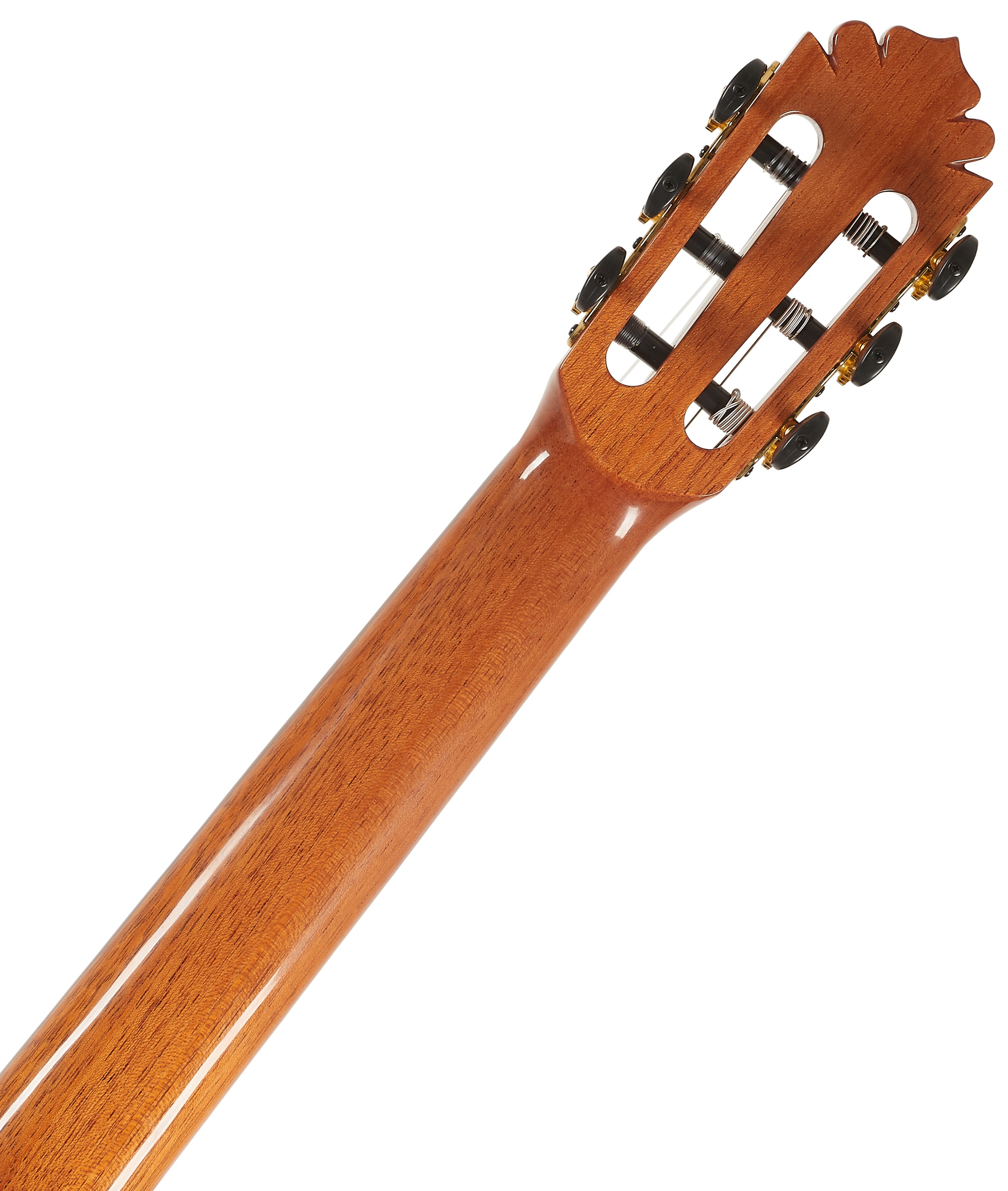 Manuel Rodriguez Café Cortado Cutaway Santos Rosewood (obrázek 6)