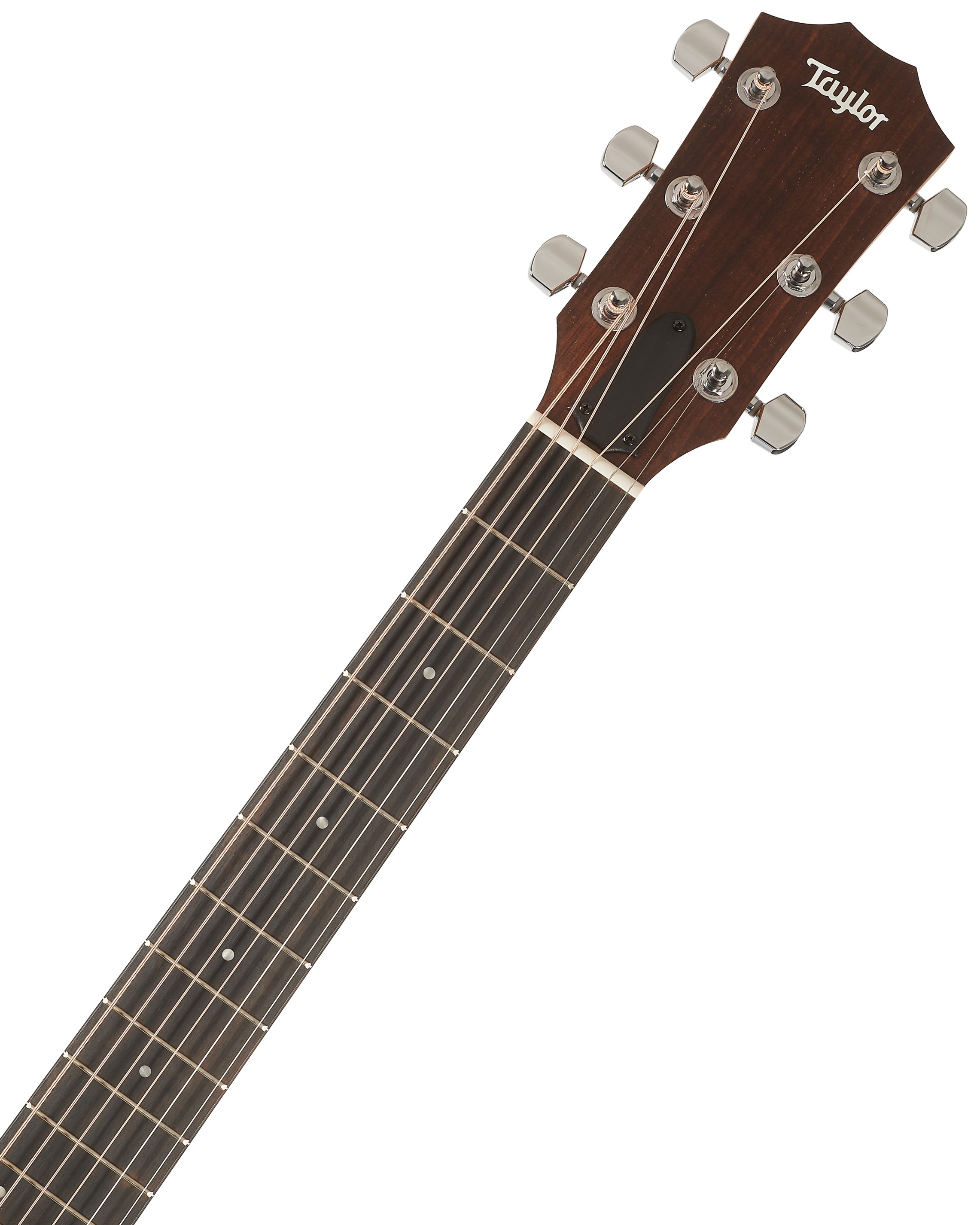 Taylor Academy 22e Walnut Top (obrázek 5)
