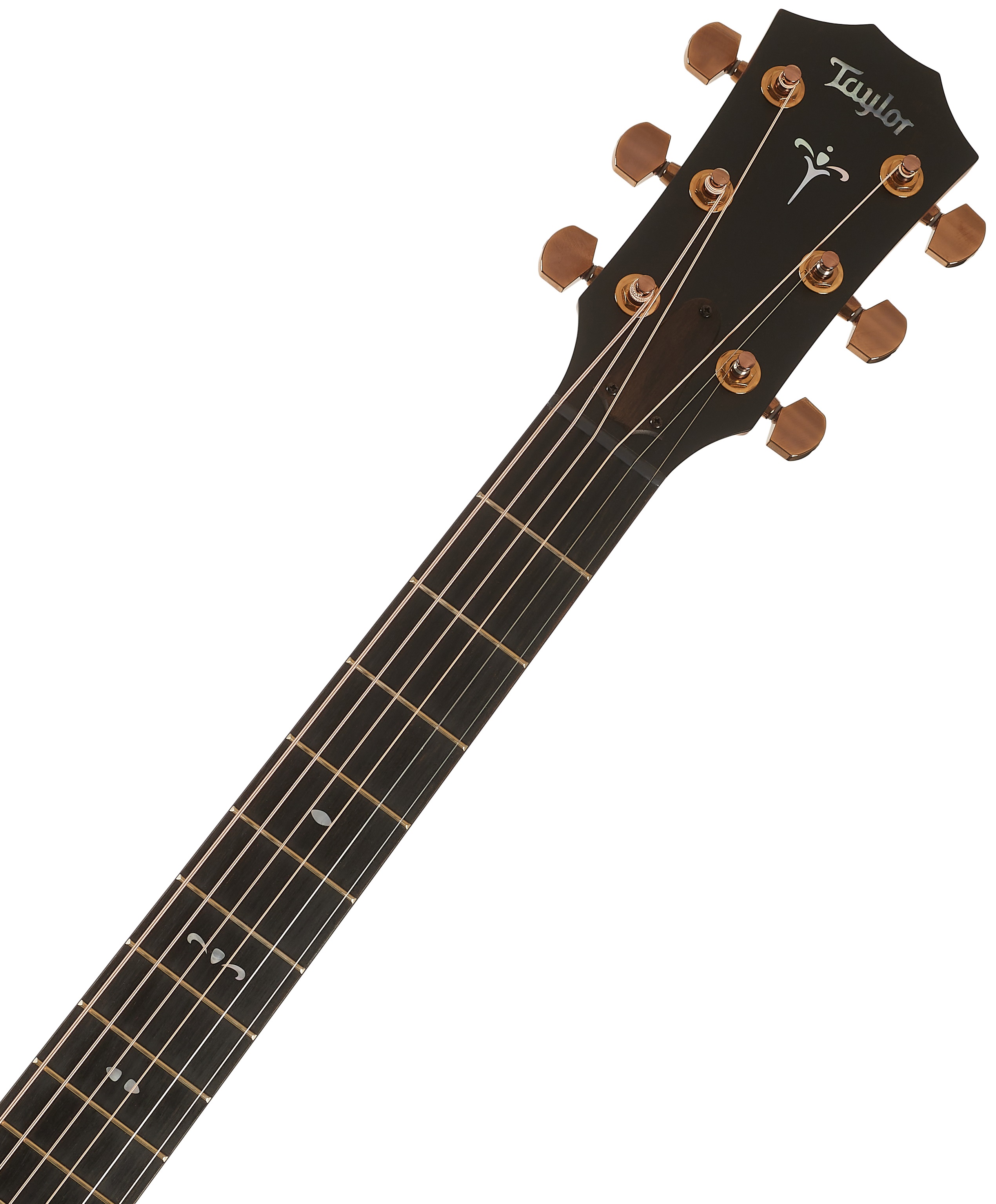 Taylor 724ce (obrázek 5)