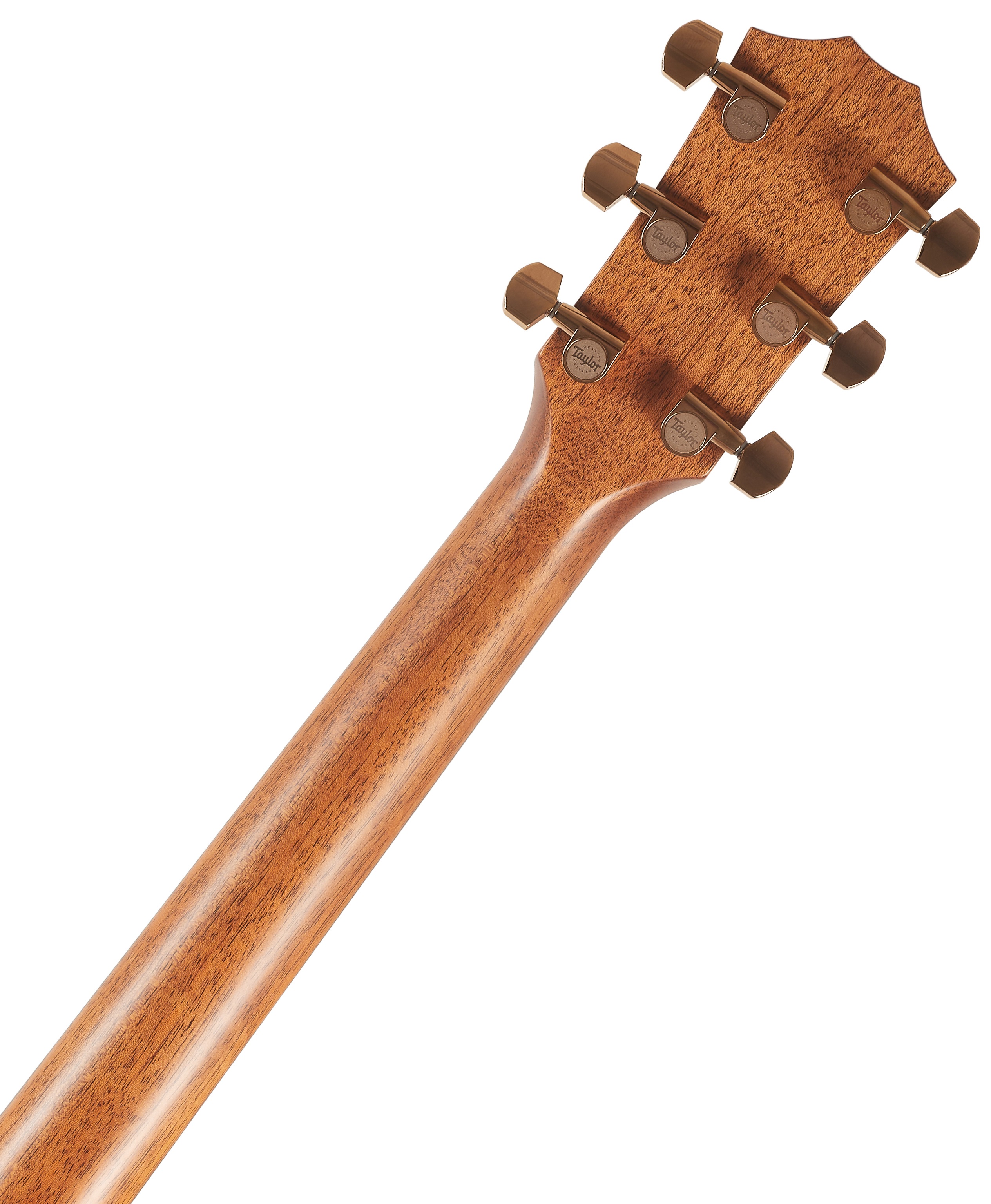 Taylor 724ce (obrázek 6)
