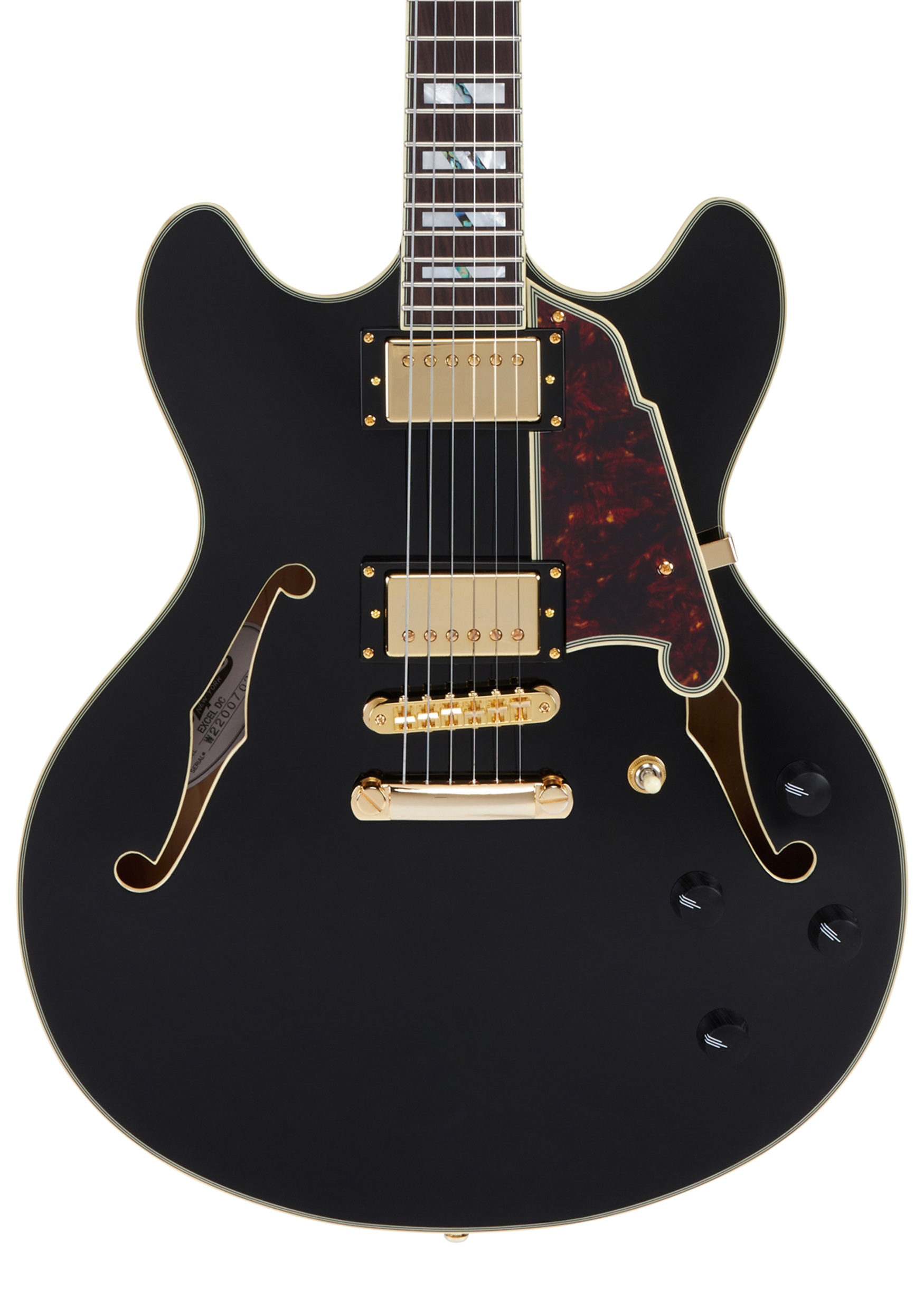 D'Angelico Excel DC Black (obrázek 3)