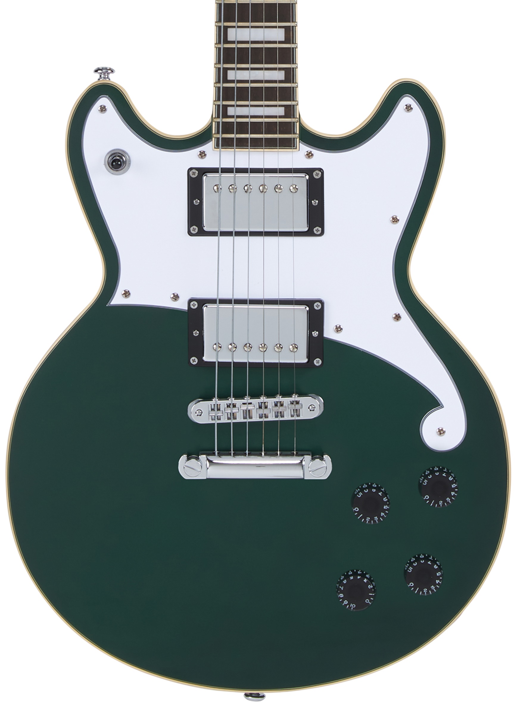 D'Angelico Premier Brighton Sherwood Green (obrázek 3)