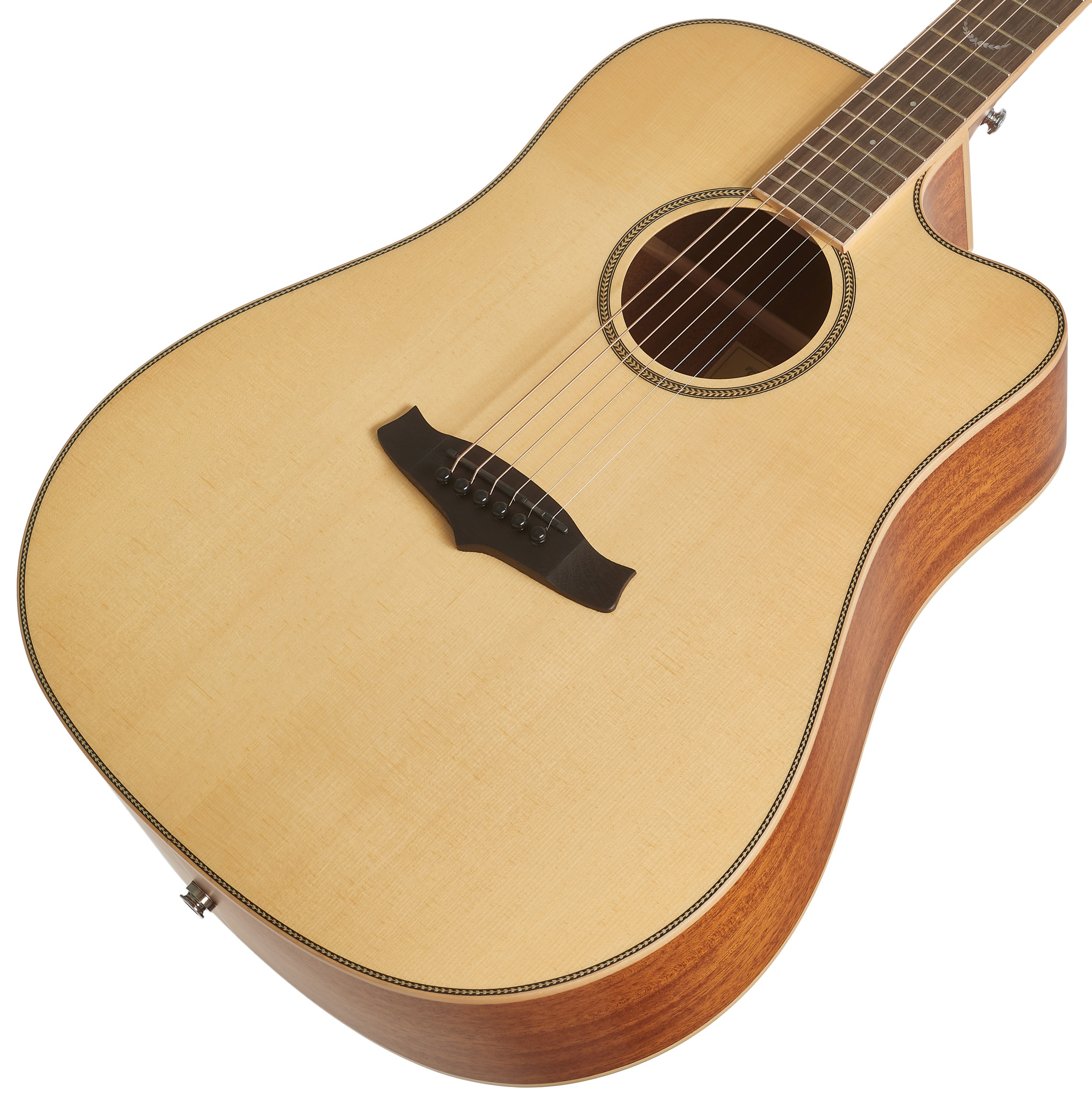 Tanglewood TP5SE (obrázek 3)