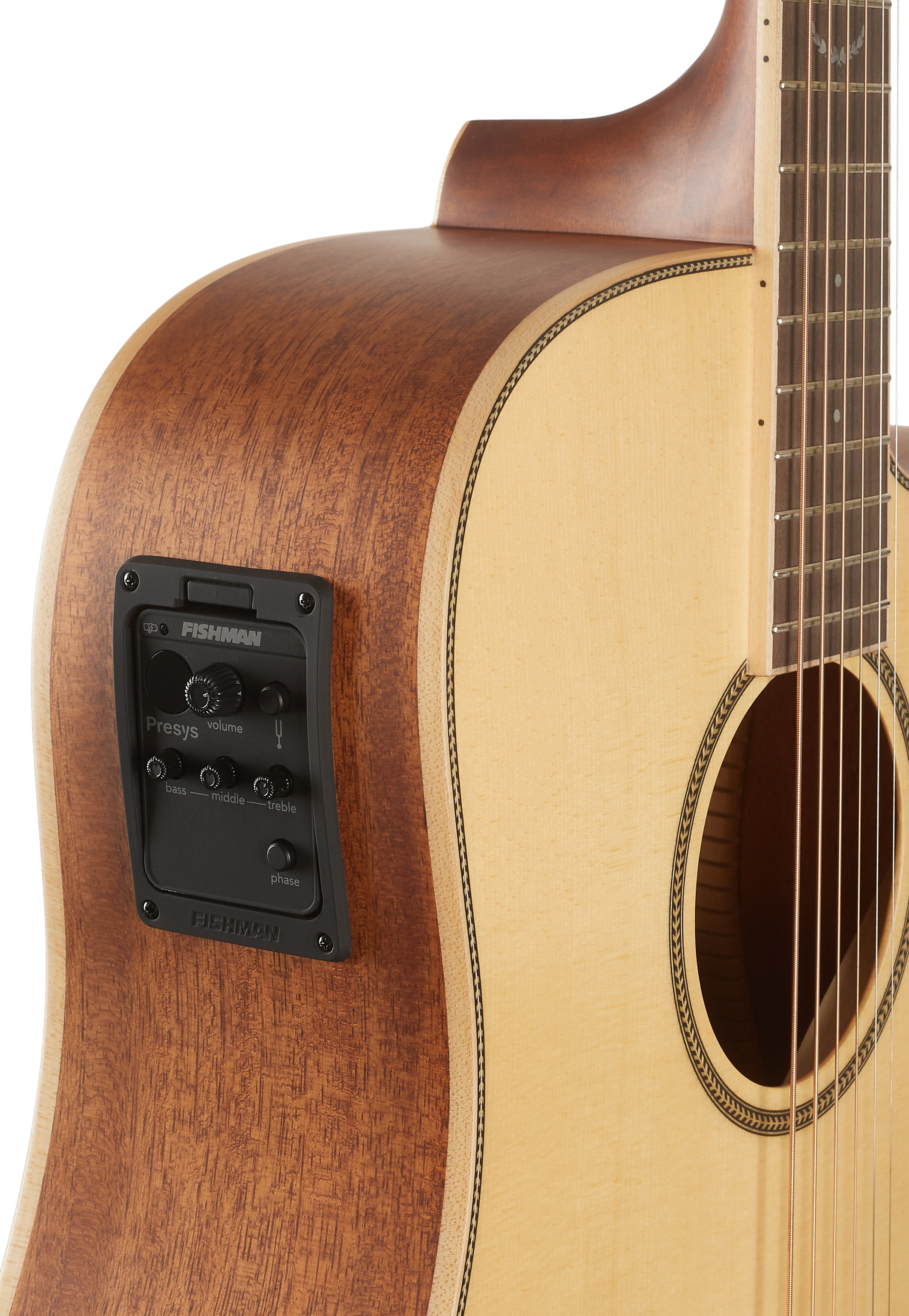 Tanglewood TP5SE (obrázek 4)