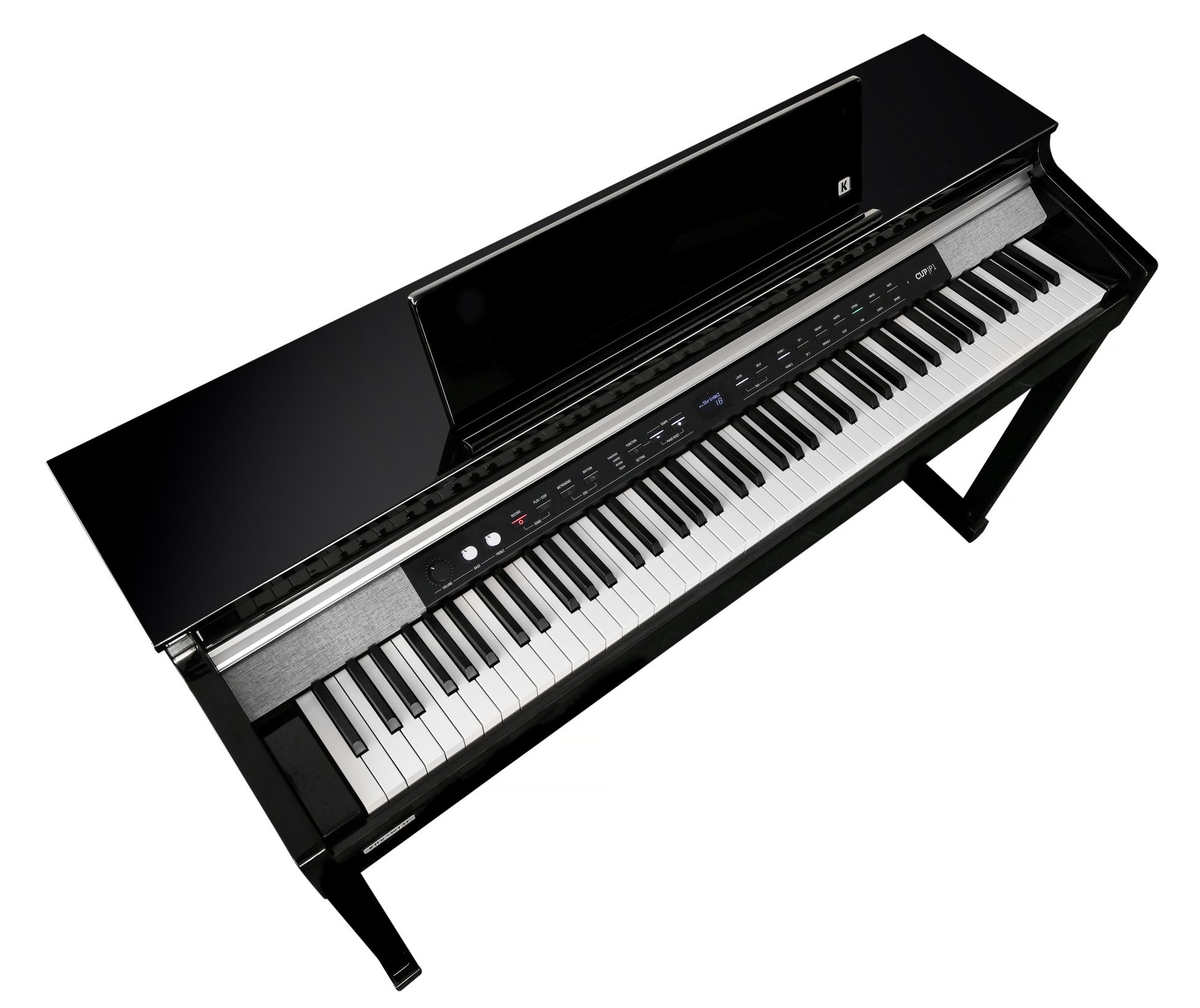 Kurzweil CUP P1 BP (obrázek 9)