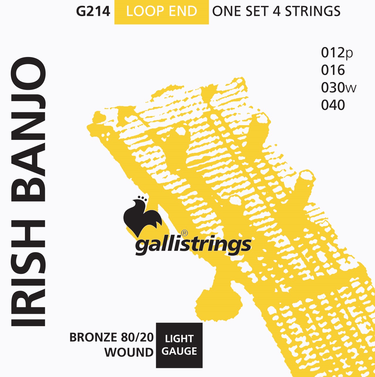Levně Galli G214 Irish Banjo 4-String