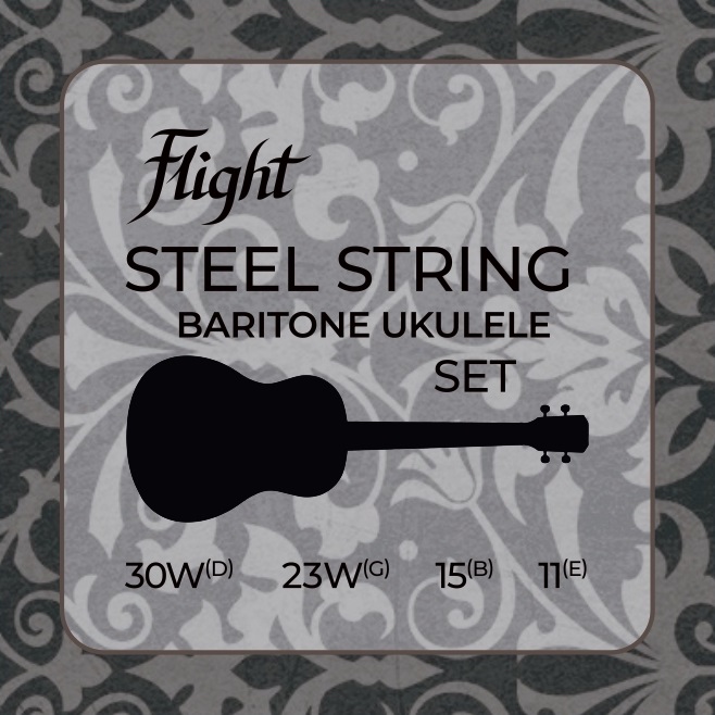 Levně Flight FBSS-200 Baritone Steel Strings