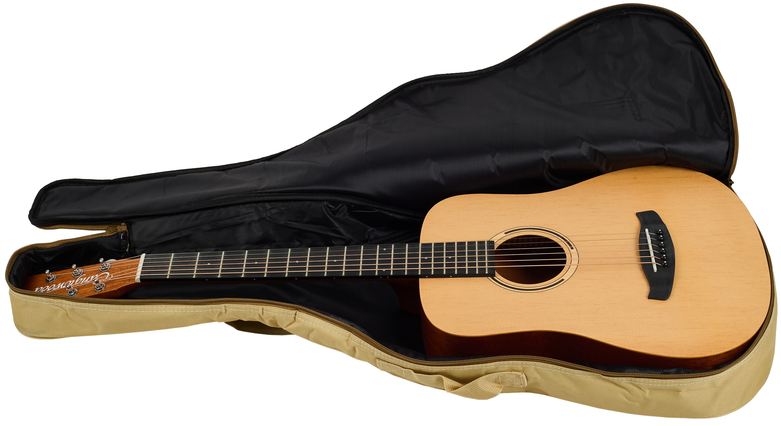 Tanglewood TR2 (obrázek 6)