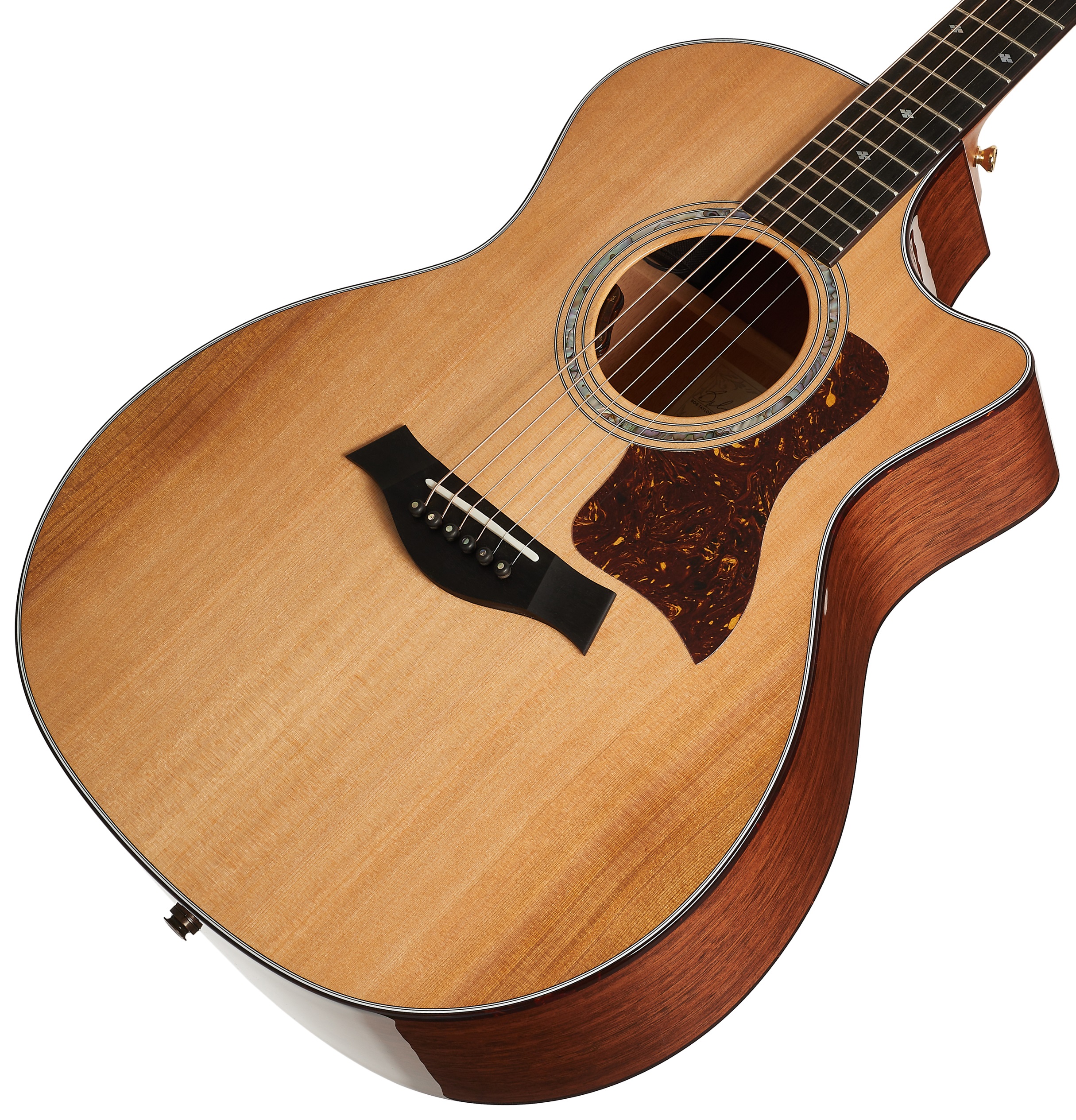 Taylor Legacy 514ce (obrázek 3)