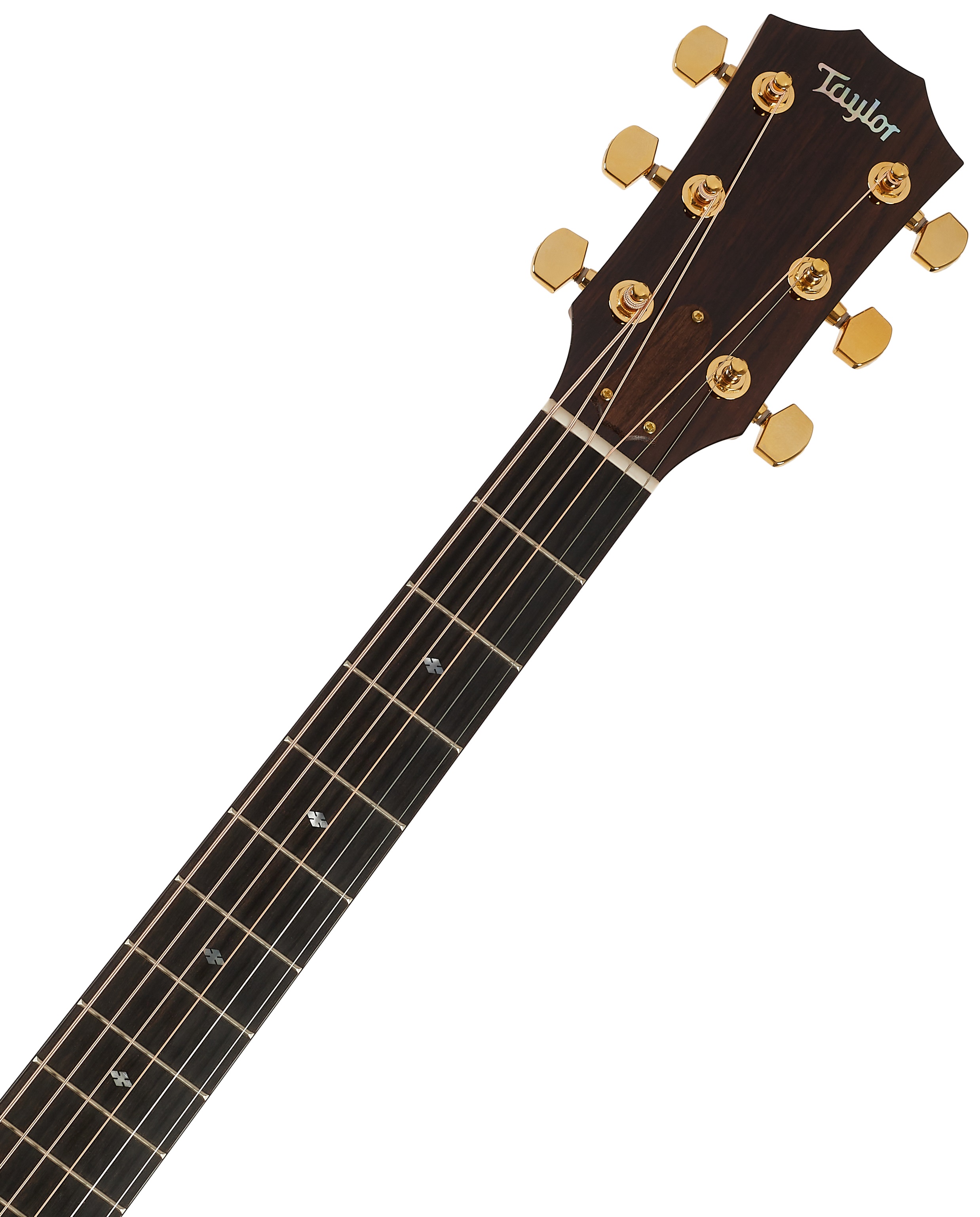 Taylor Legacy 514ce (obrázek 5)