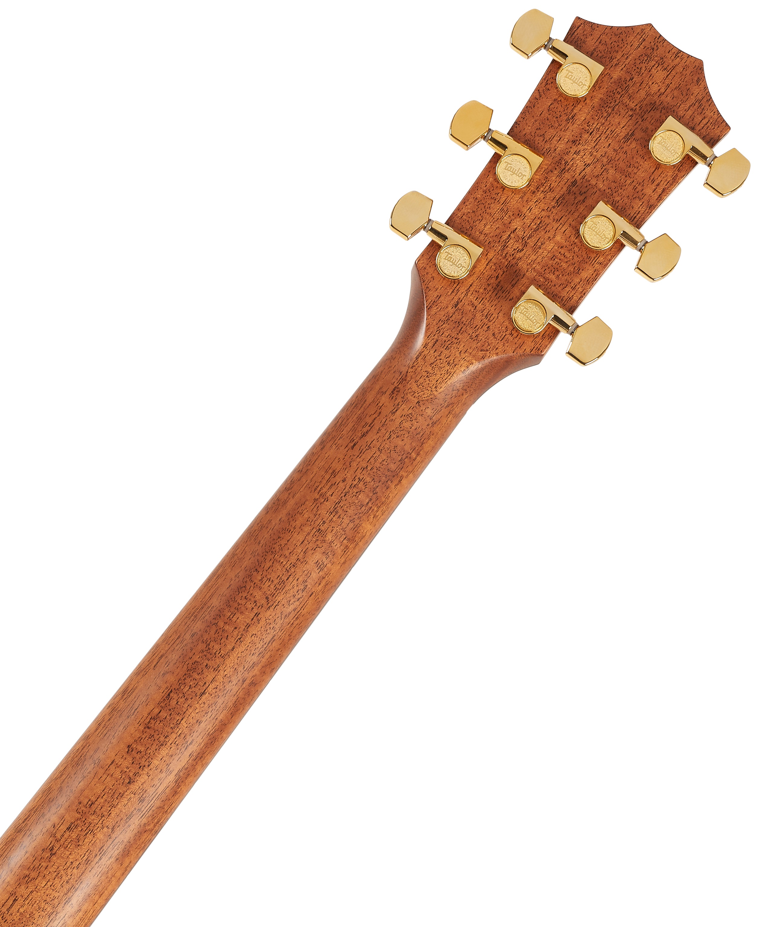 Taylor Legacy 514ce (obrázek 6)