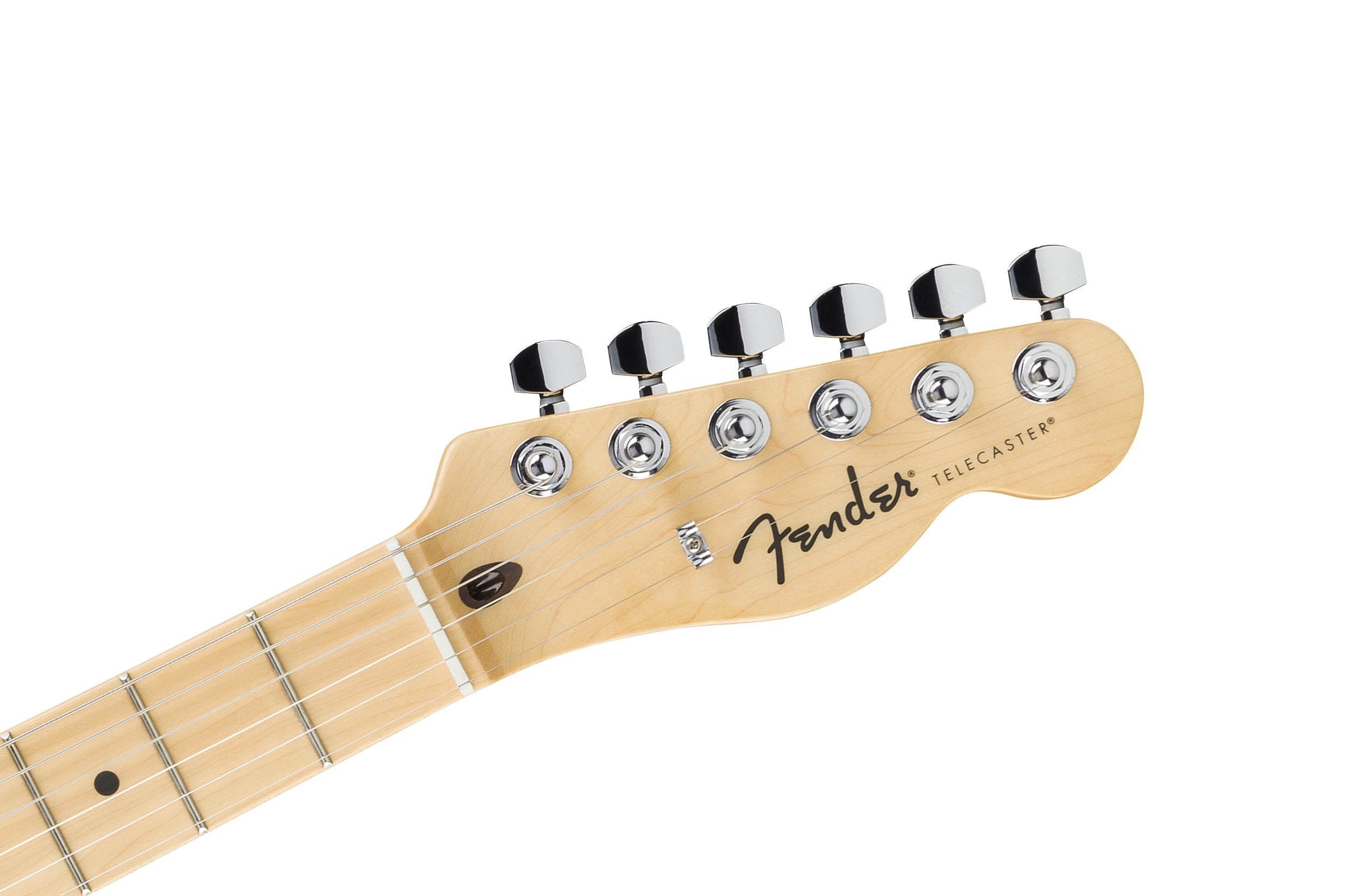Fender Standard Telecaster MN AMM (obrázek 4)