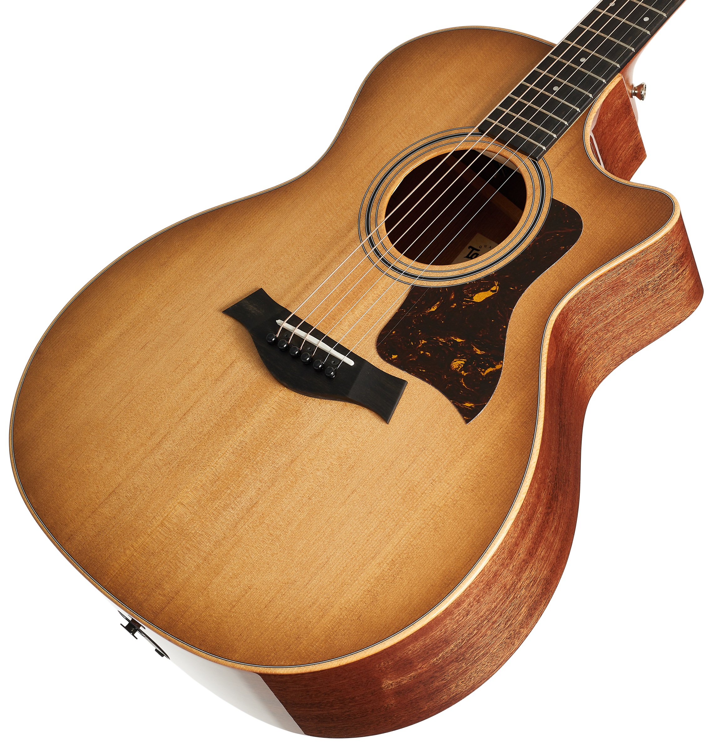 Taylor 314ce Studio Shaded Edgeburst (obrázek 3)