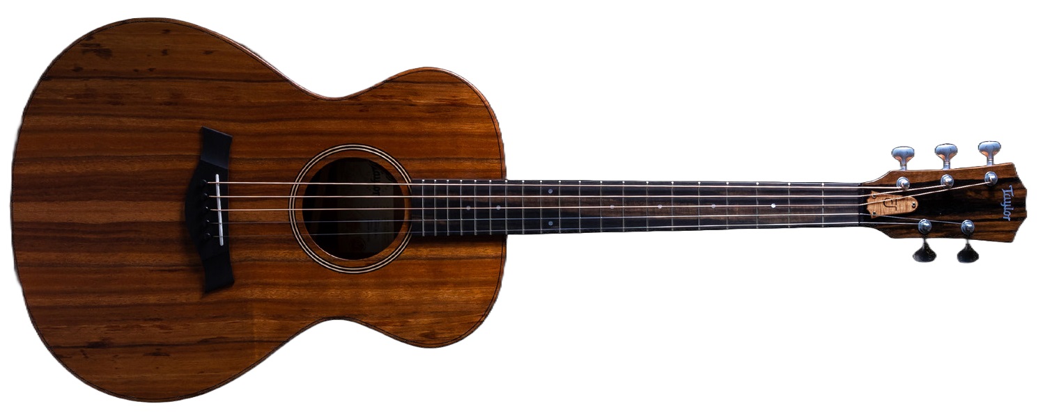 Levně Taylor JCSM-5 Jacob Collier