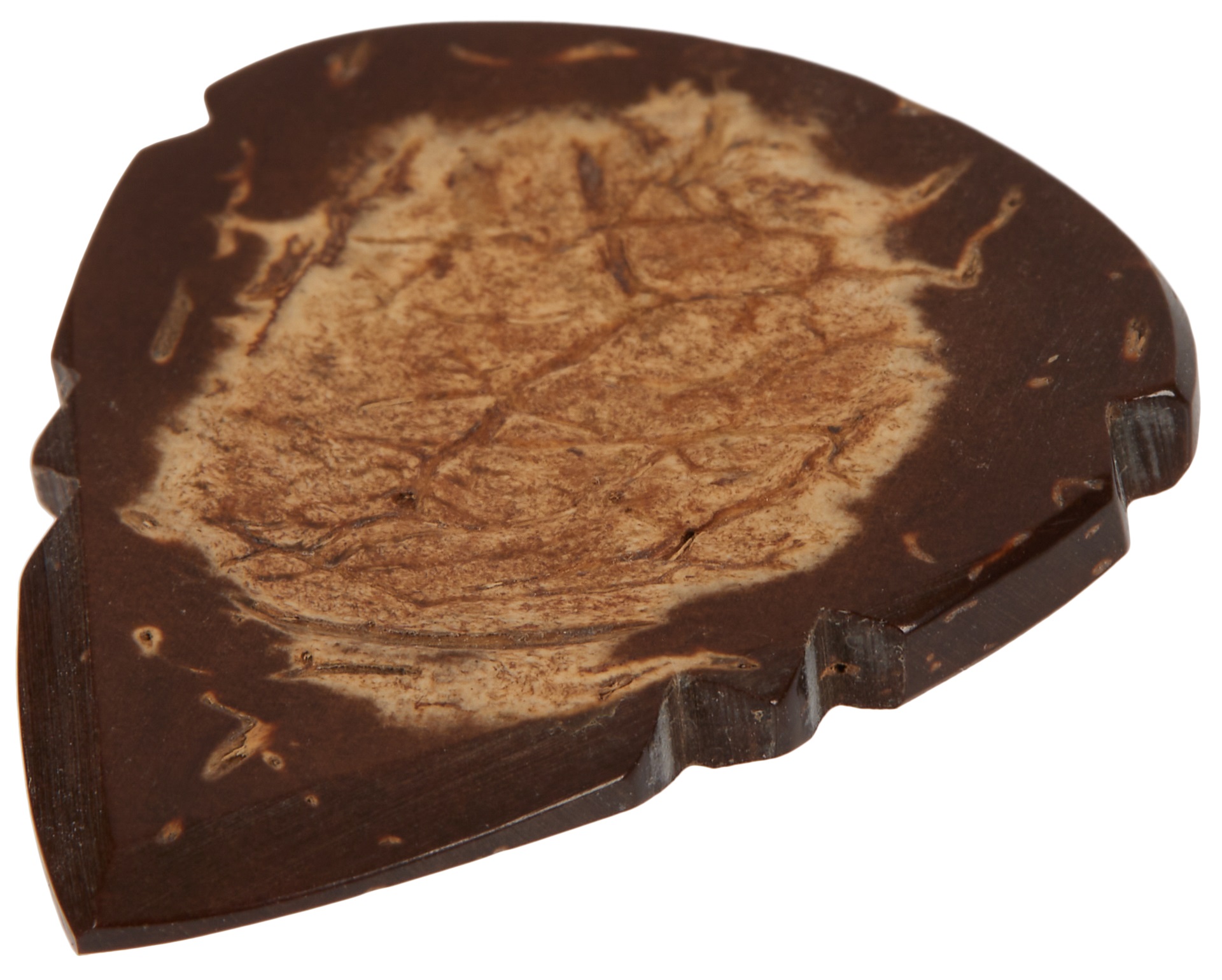 Timber Tones Arrow Tones Coconut Husk (obrázek 3)