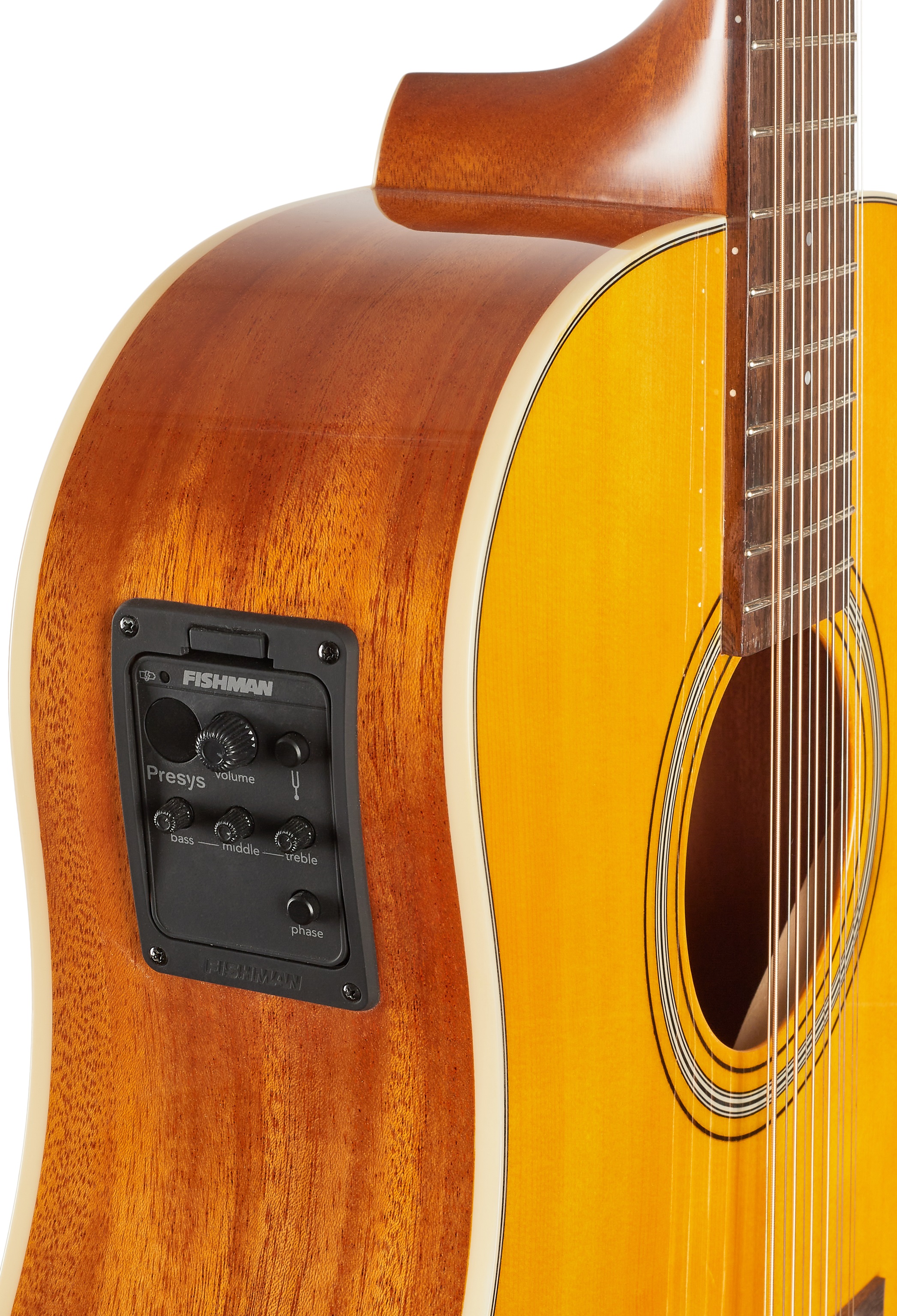 Tanglewood TW4012SDANE (obrázek 4)