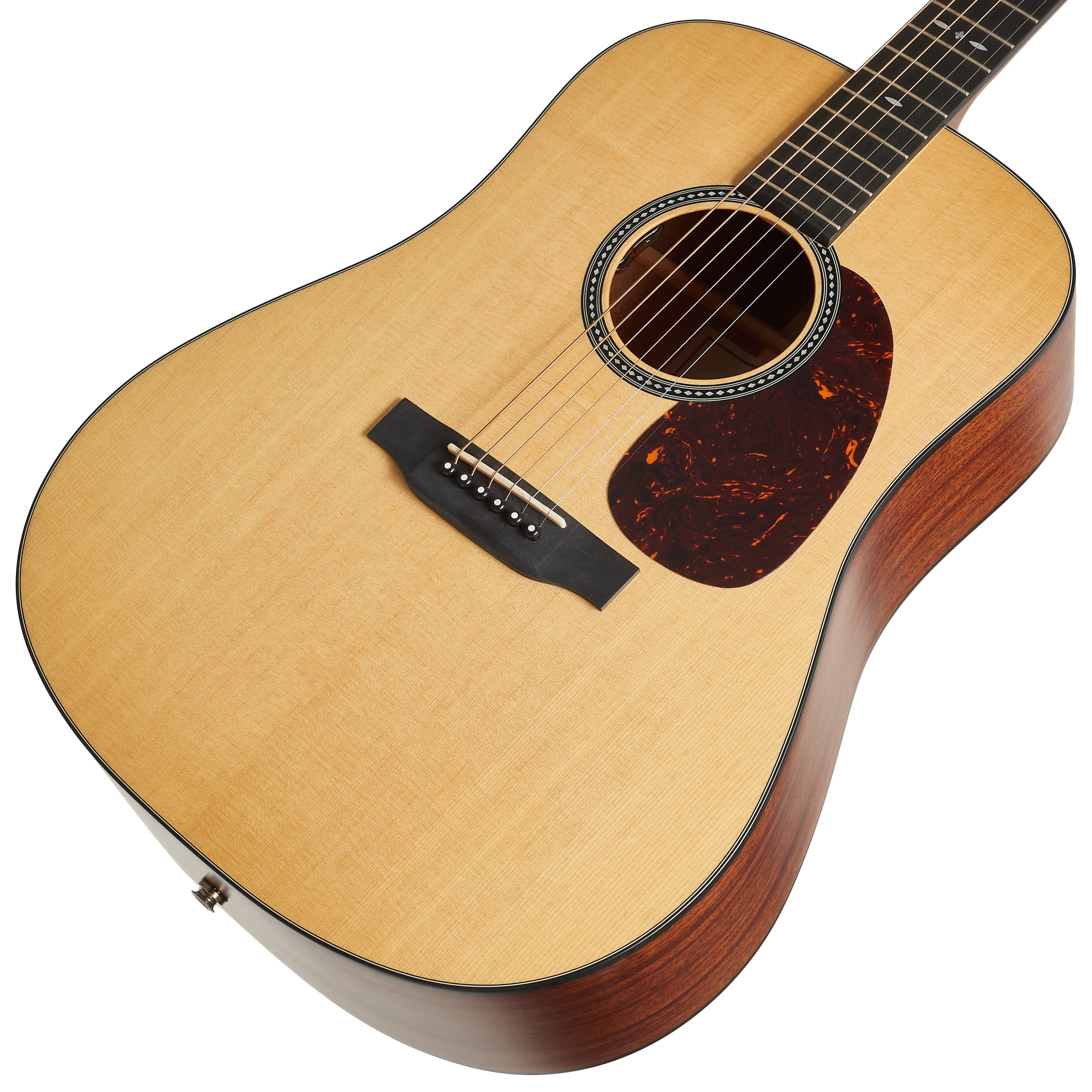 Sigma Guitars SDM-10E (obrázek 3)