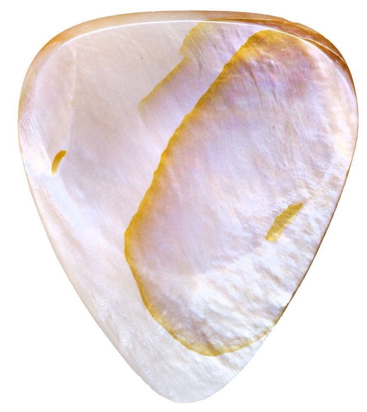 Levně Timber Tones Shell Tones Mussel Shell
