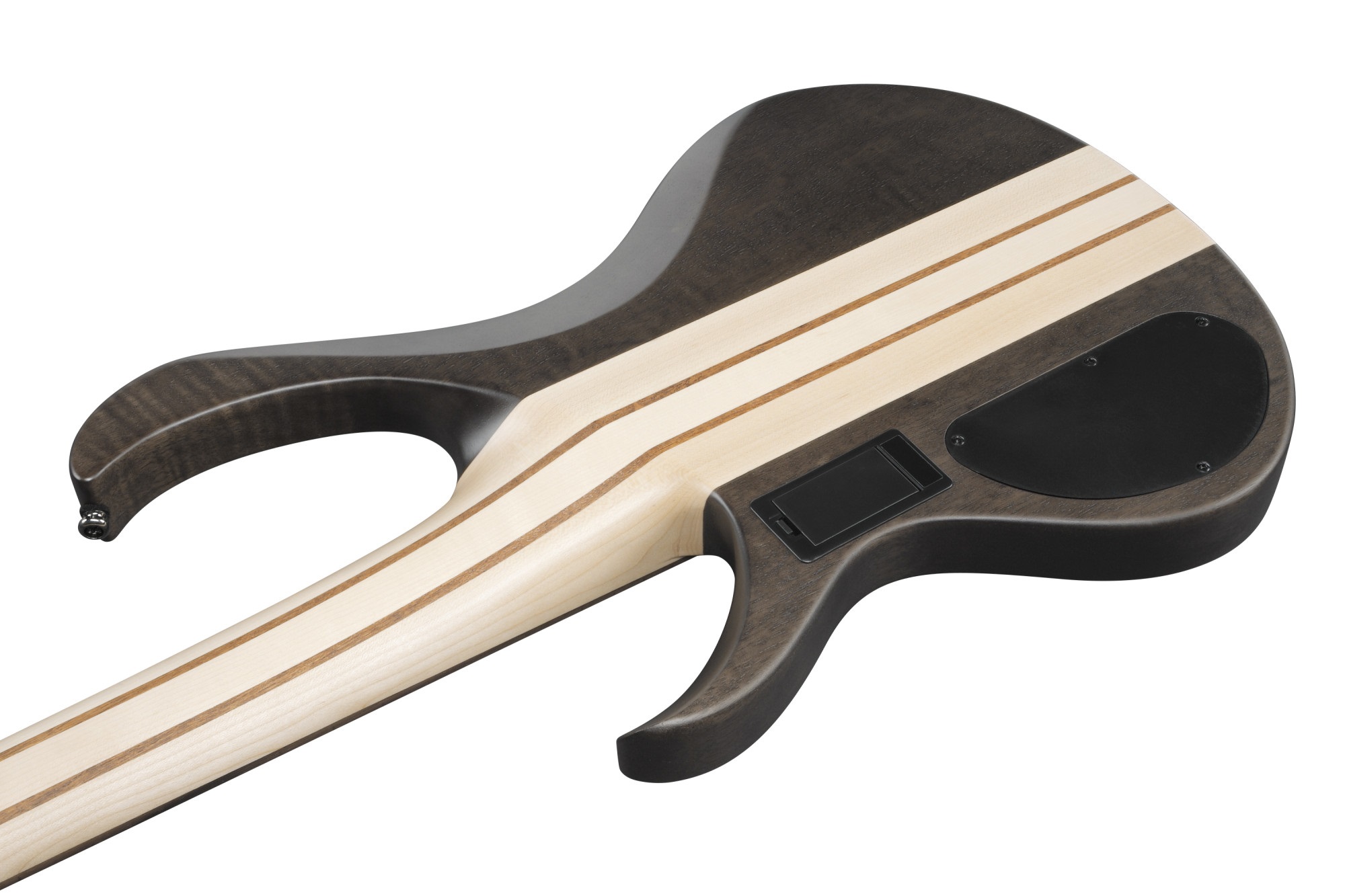 Ibanez BTB605 Transparent Gray (obrázek 4)