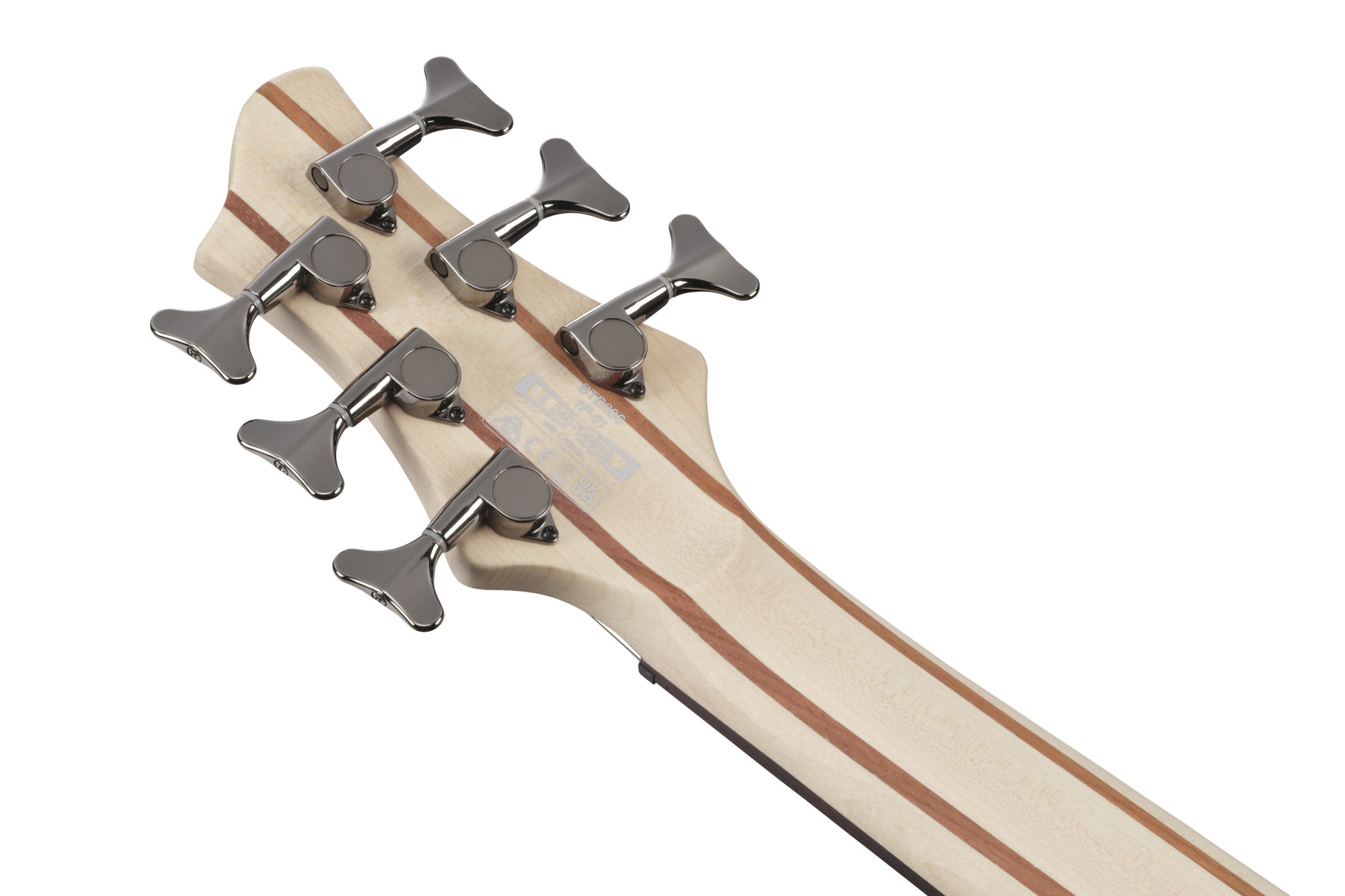 Ibanez BTB606 Transparent Gray (obrázek 6)