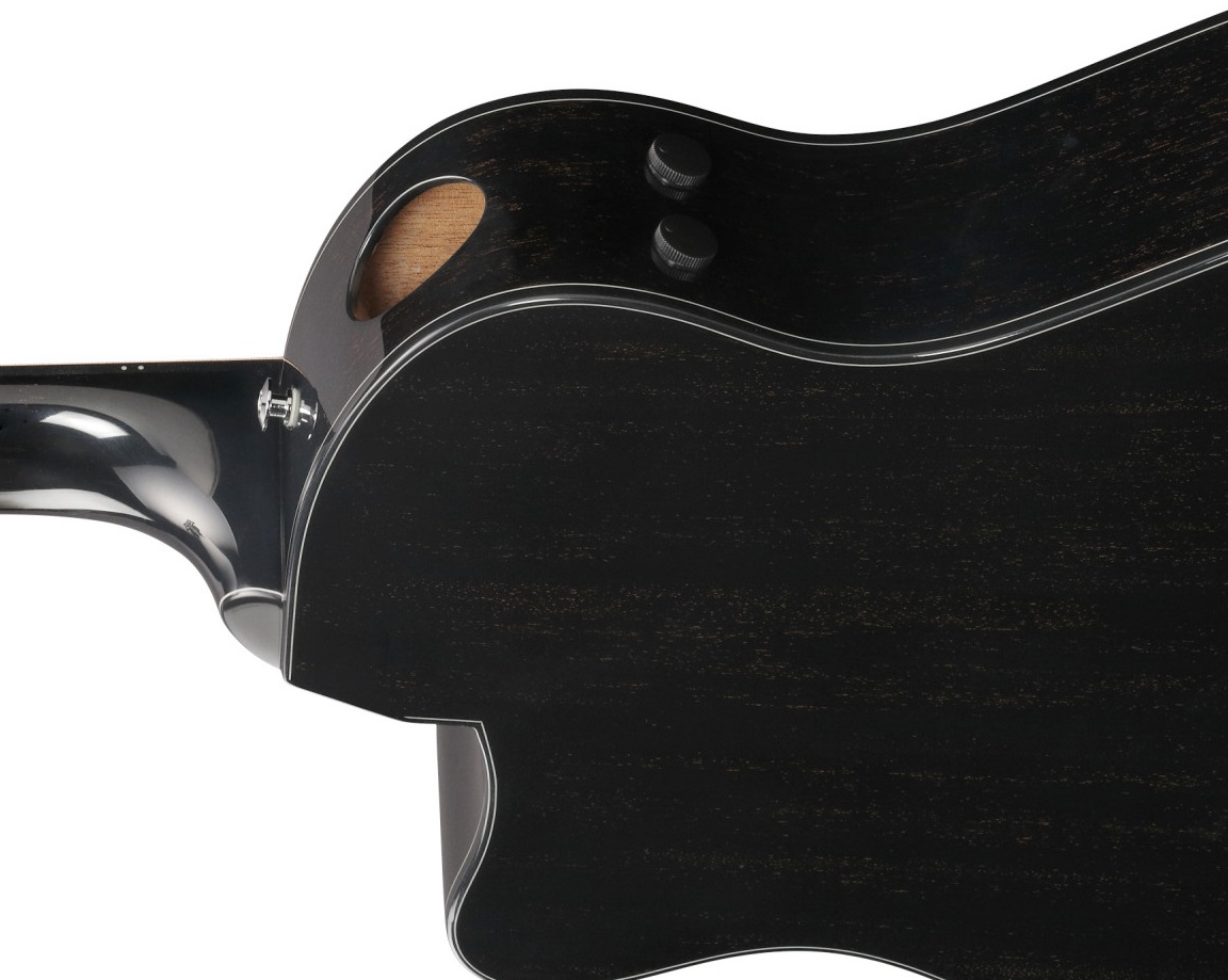 Ibanez AAM340CE Rustic Black (obrázek 3)