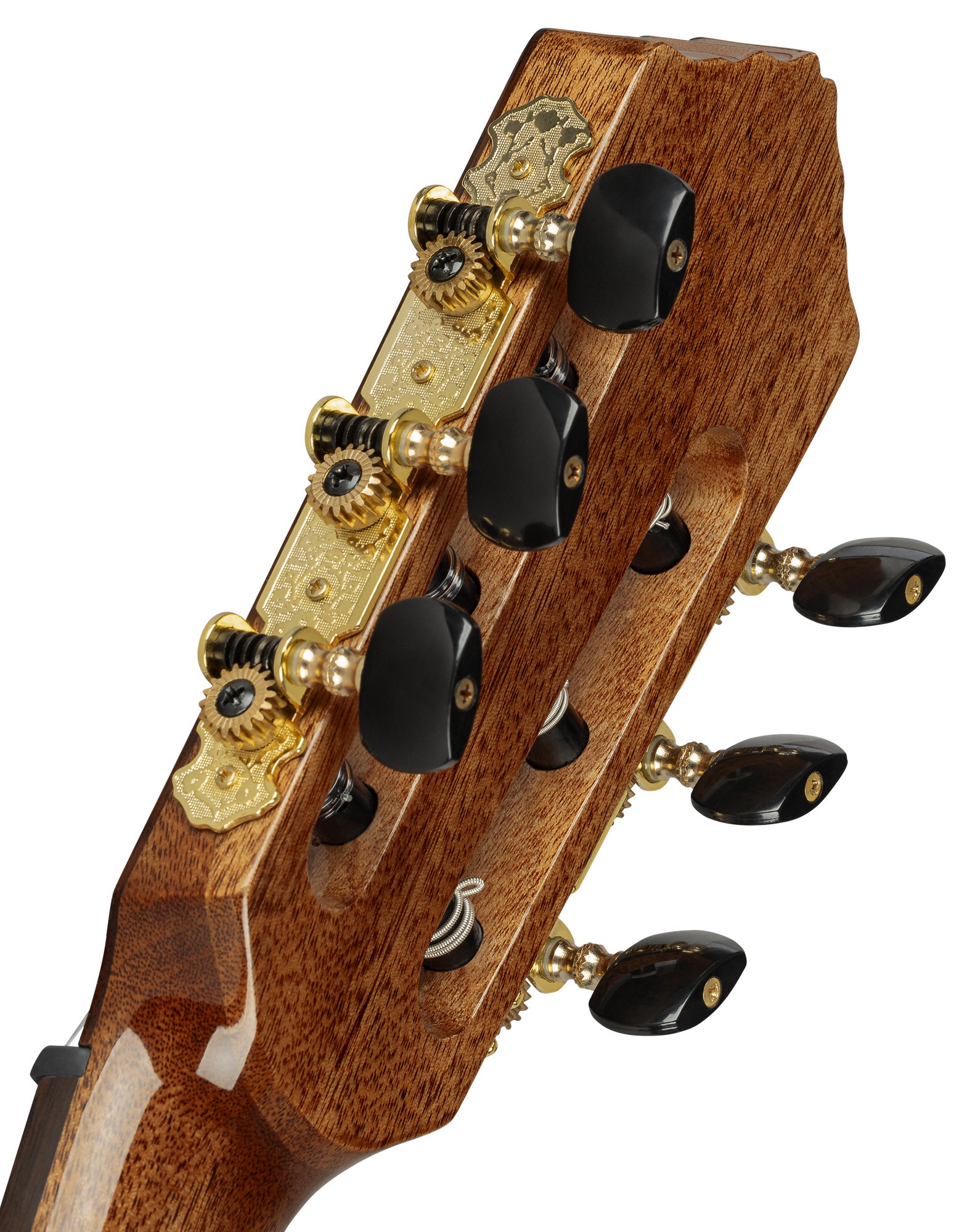 Ortega Grandsuite CE 4/4 NAT (obrázek 4)