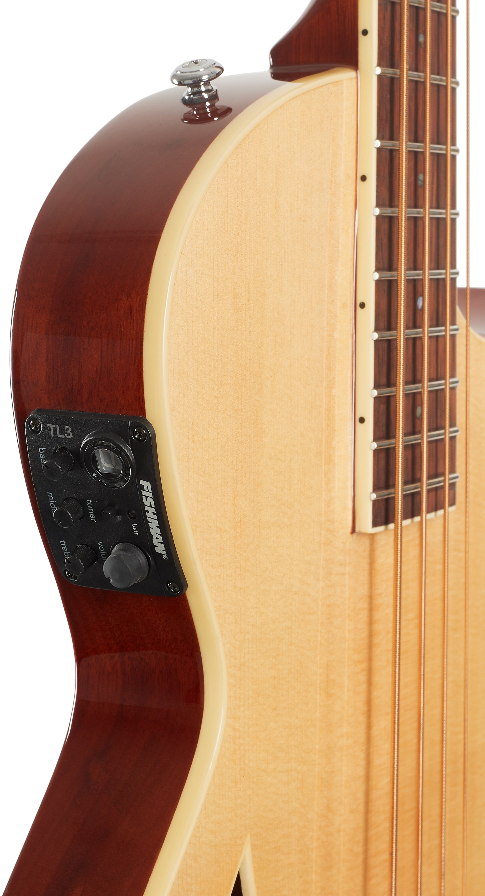 ESP LTD TL-4 NAT (obrázek 4)