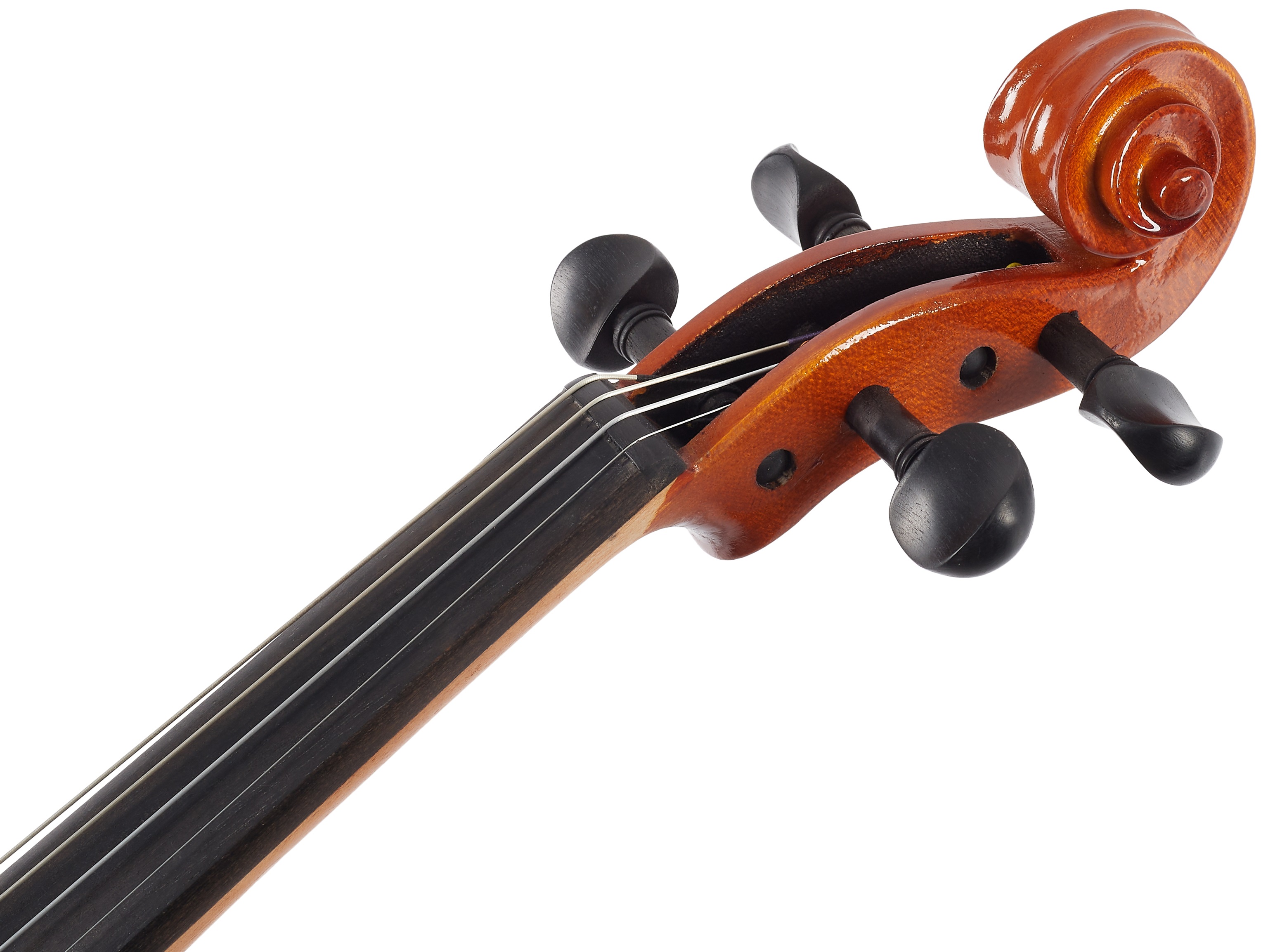 Eastman Samuel Eastman Violin 4/4 (VL50SBC ) (obrázek 4)