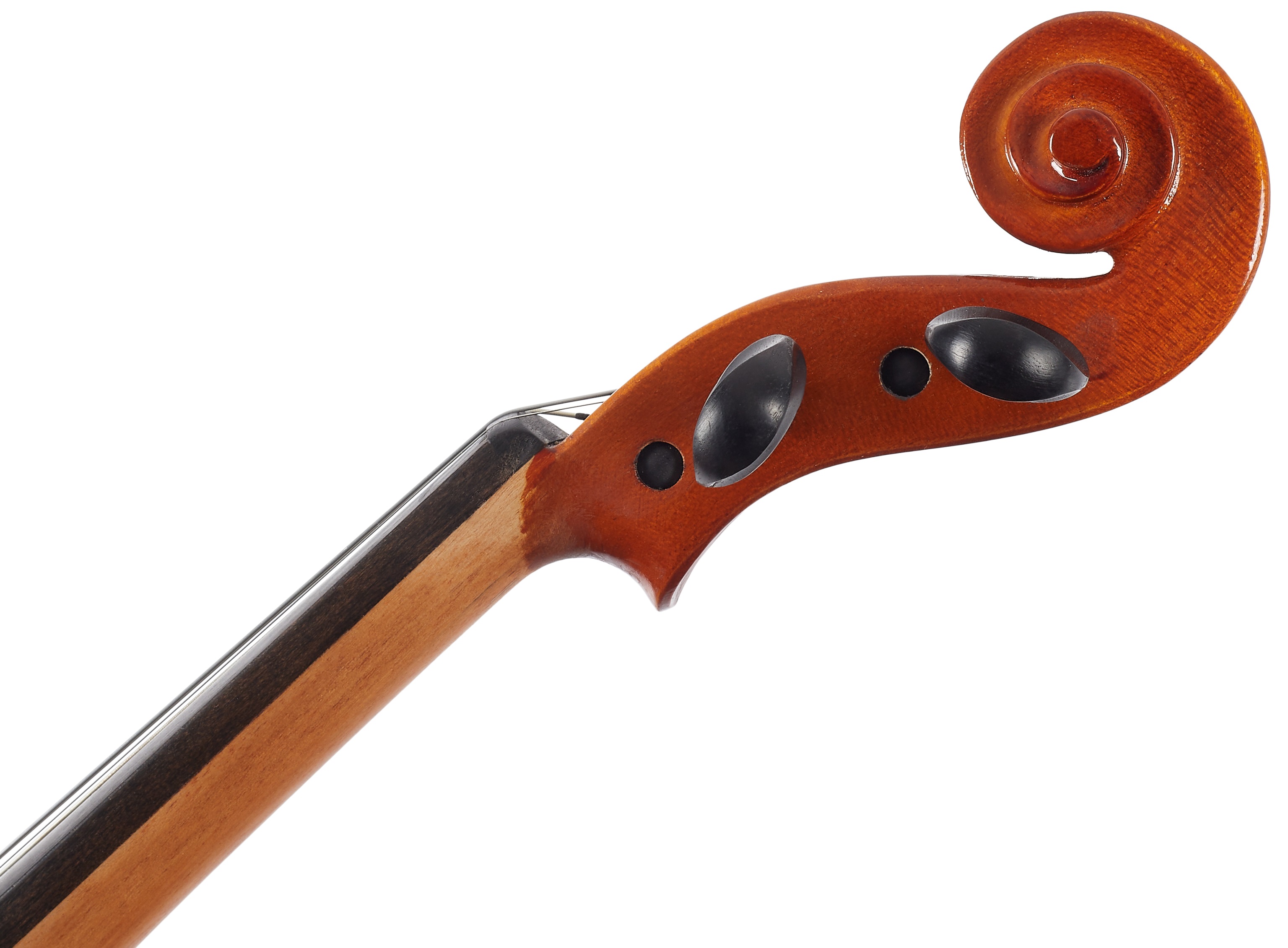 Eastman Samuel Eastman Violin 4/4 (VL50SBC ) (obrázek 5)