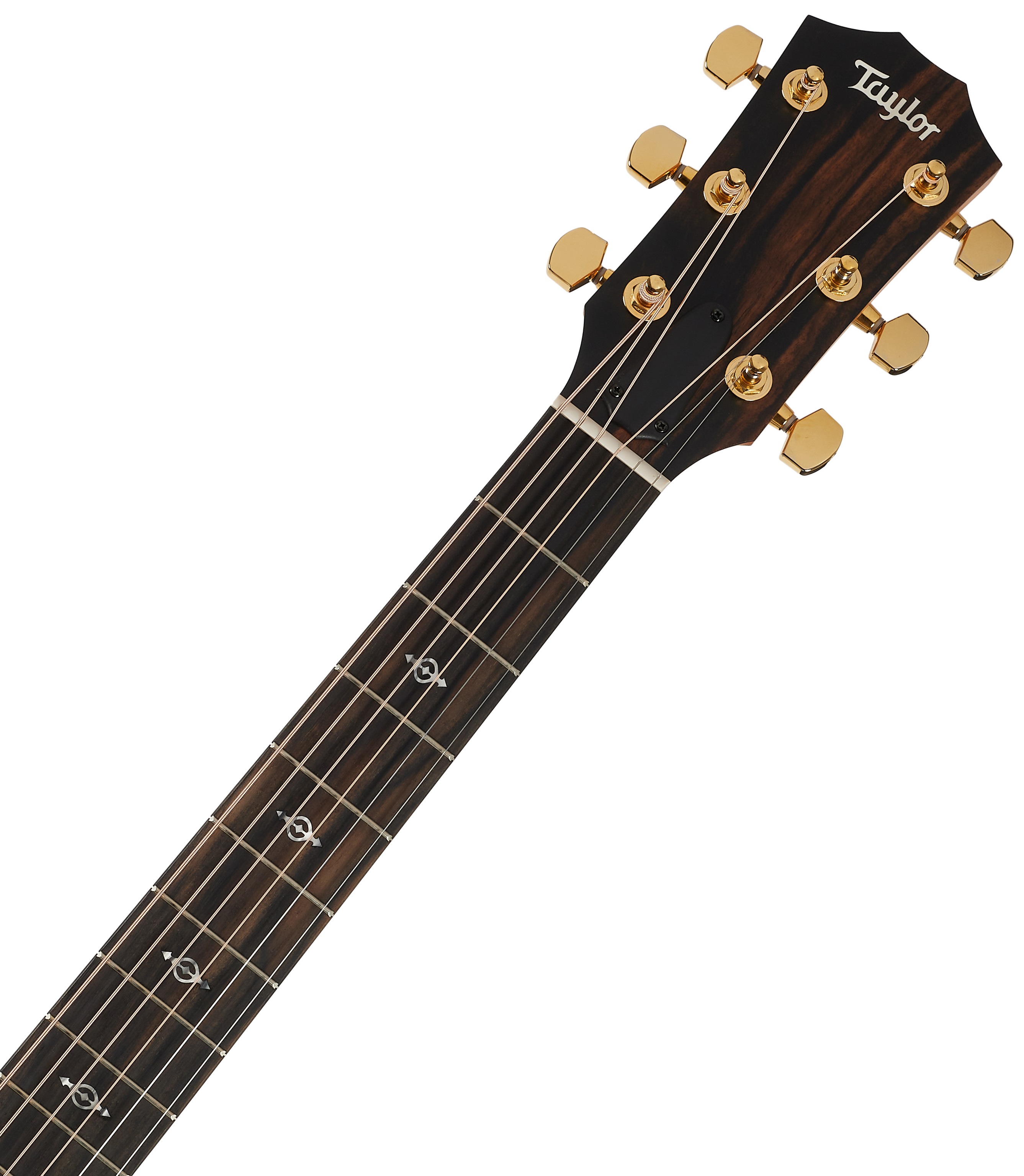 Taylor 214ce-K DLX (obrázek 5)