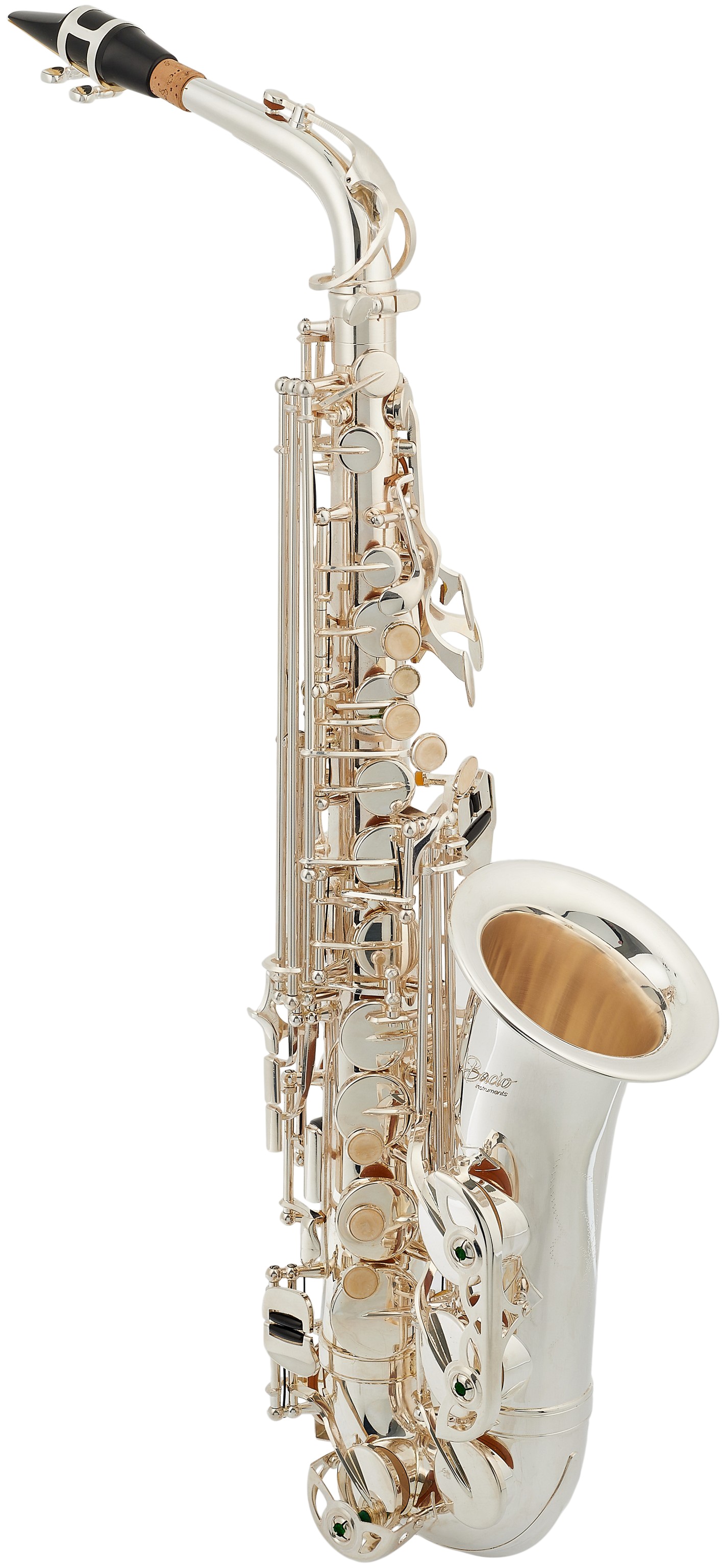 Bacio Instruments BAS-100SG (obrázek 3)