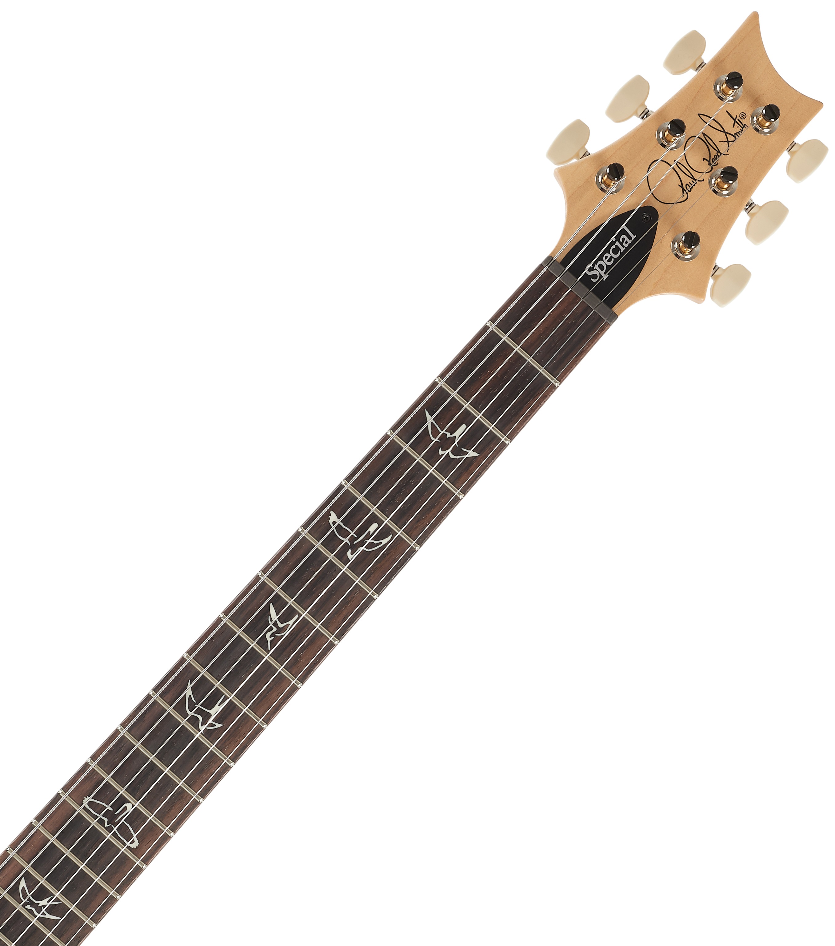 PRS Swamp Ash Special Black Doghair Smokeburst (obrázek 4)