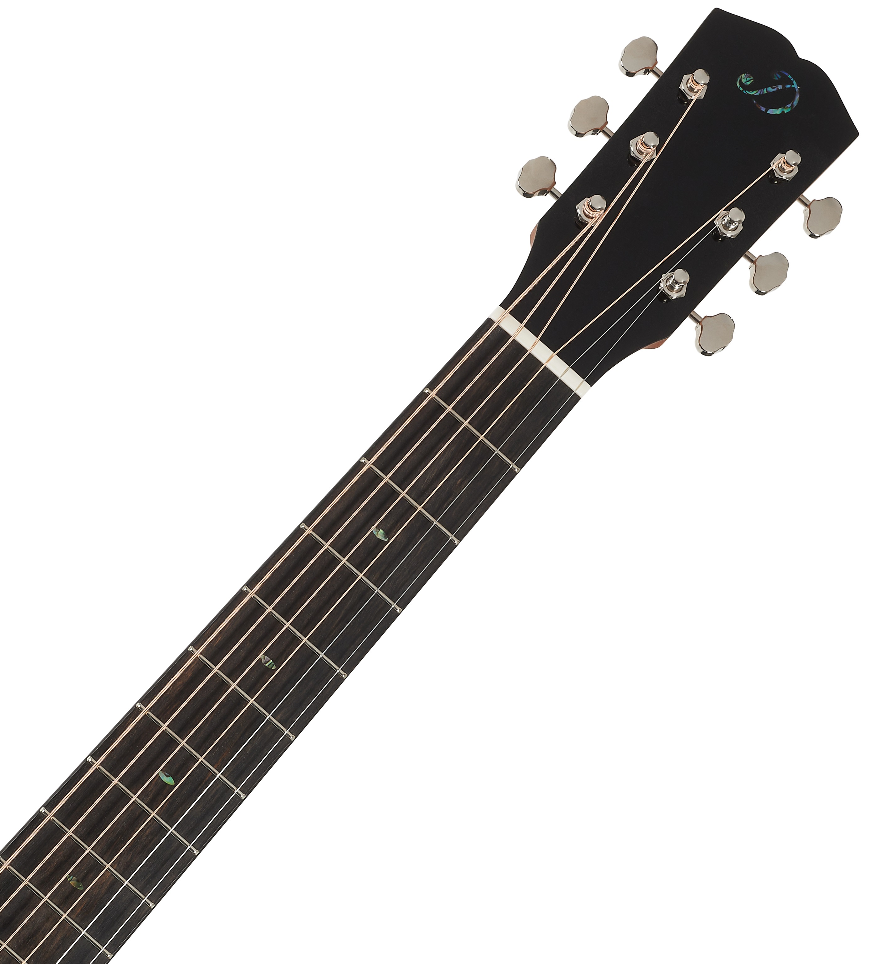 Dowina DLX-Walnut GACE Anthem (obrázek 5)