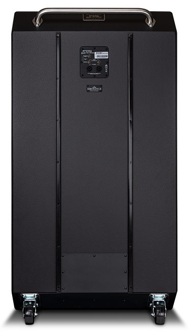 Ampeg Heritage SVT-810AV (obrázek 3)